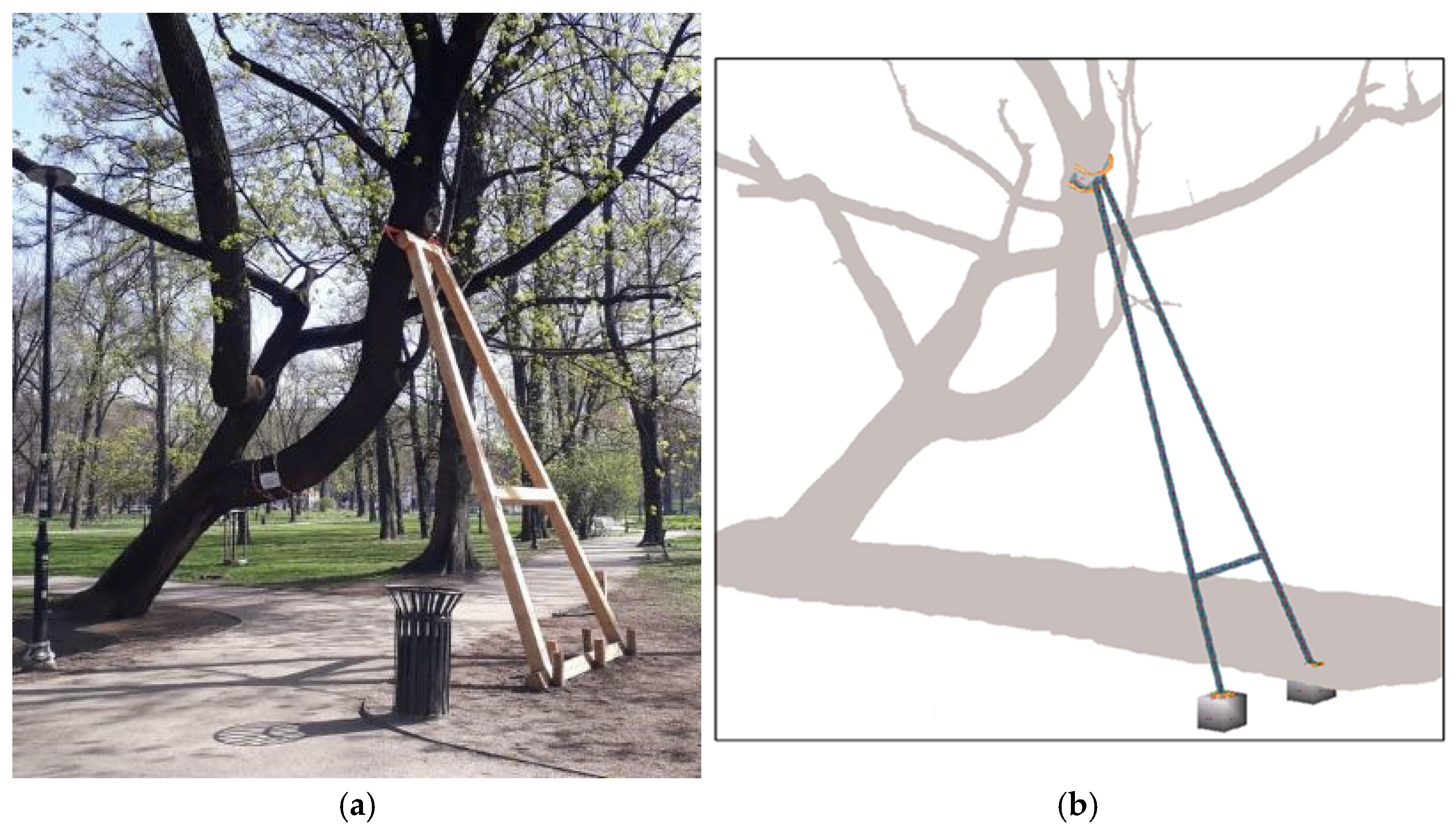 Land 14 02200 g005 Land 14 02200 g005