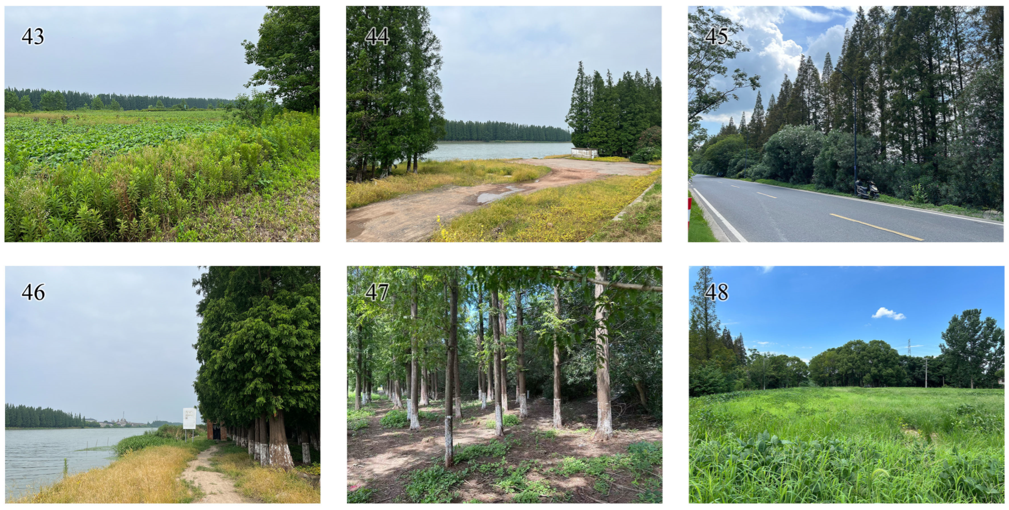 Land 14 02204 g0a8 Land 14 02204 g0a8