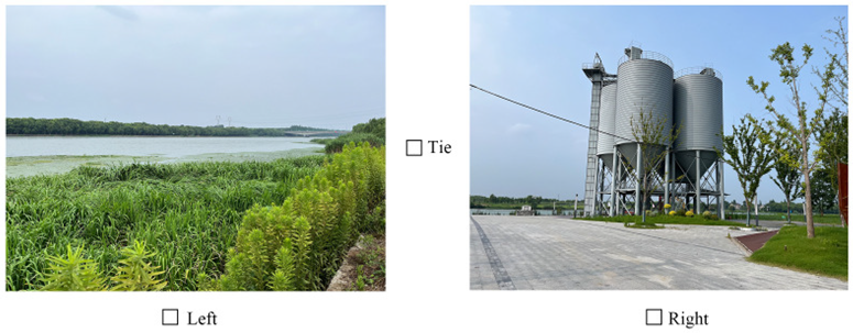 Land 14 02204 i001 Land 14 02204 i001