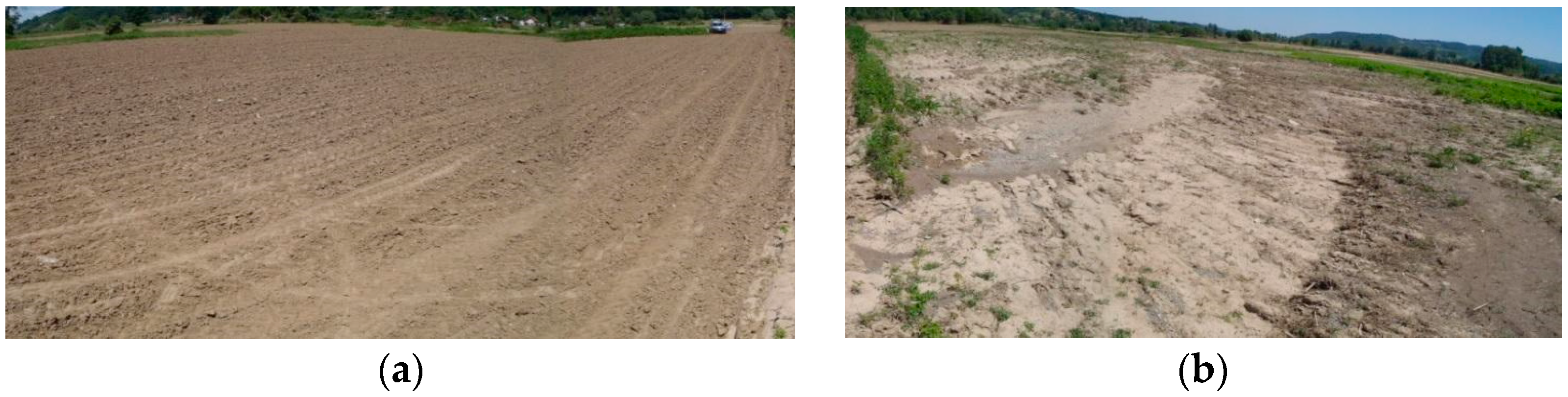 Land 14 02216 g004 Land 14 02216 g004