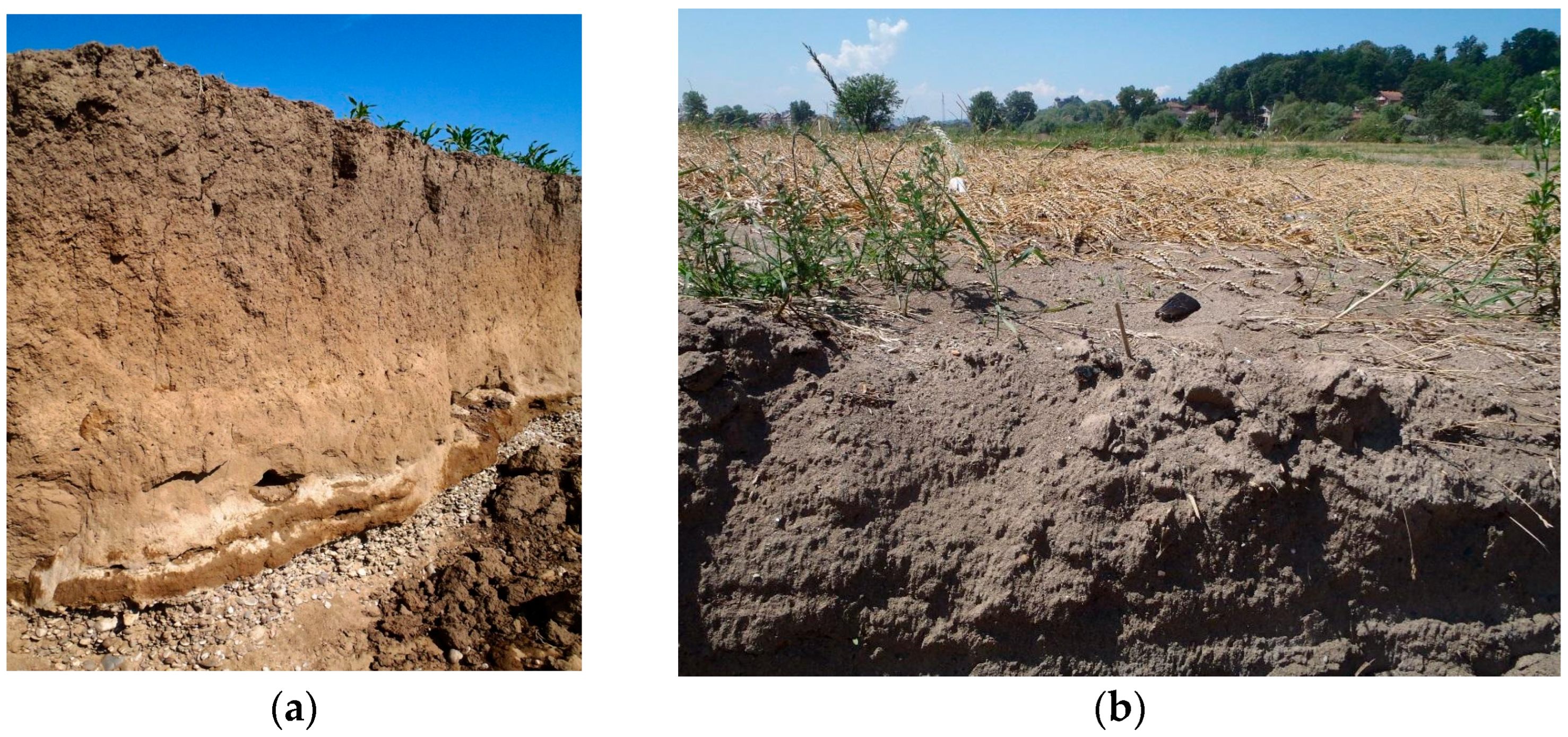 Land 14 02216 g006 Land 14 02216 g006