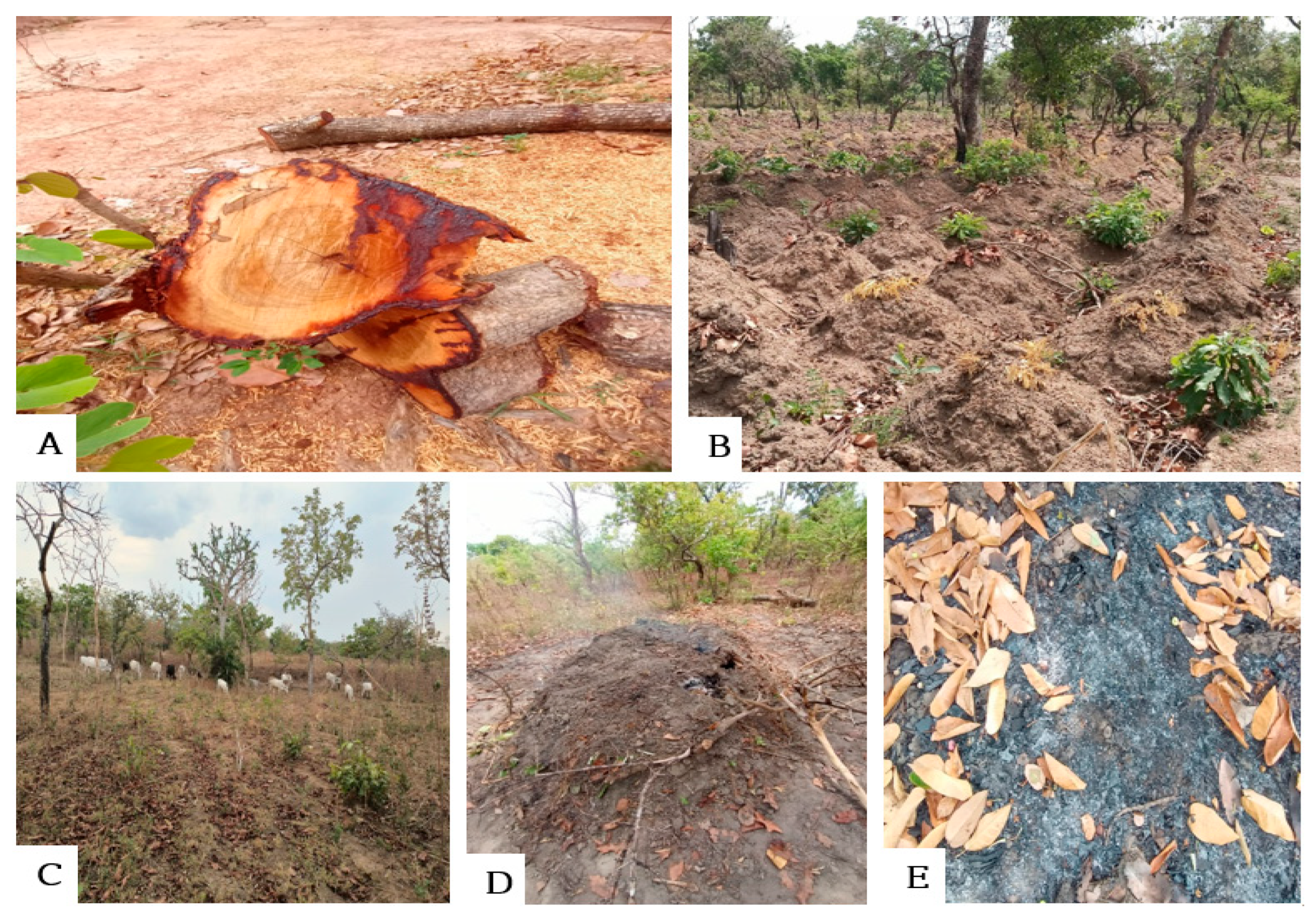 Land 14 02350 g003 Land 14 02350 g003