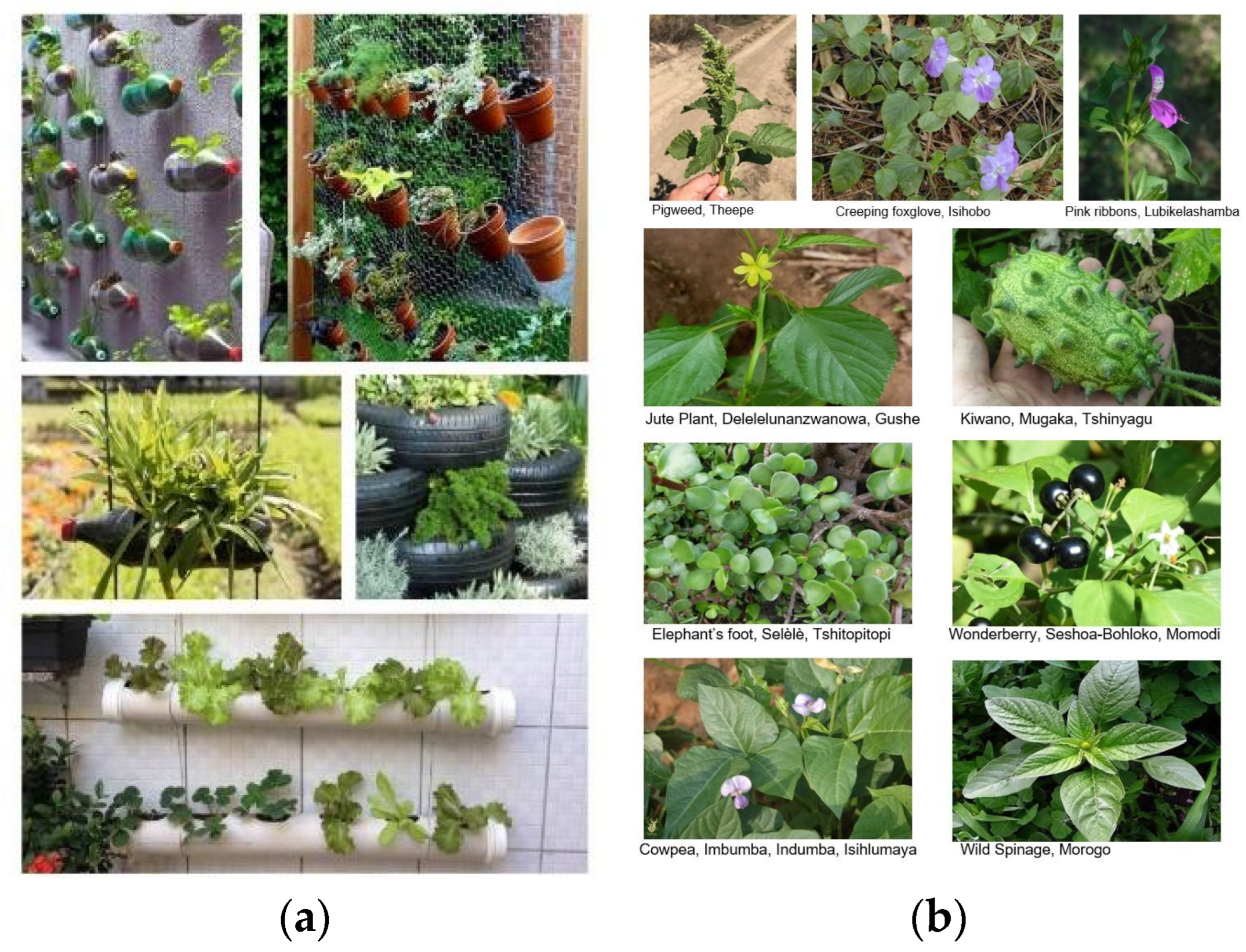 Land 14 02423 g002 Land 14 02423 g002