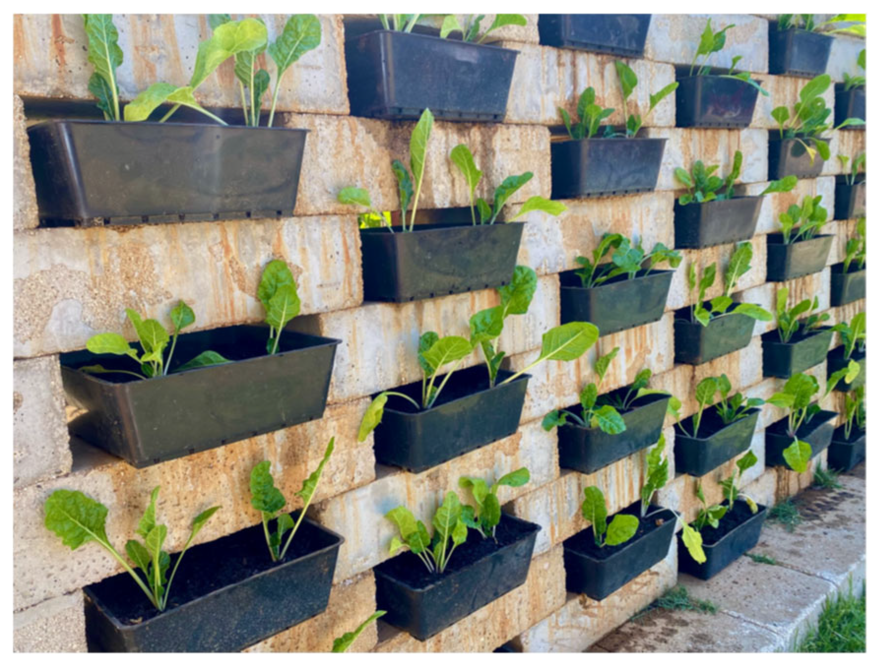 Land 14 02423 g003 Land 14 02423 g003