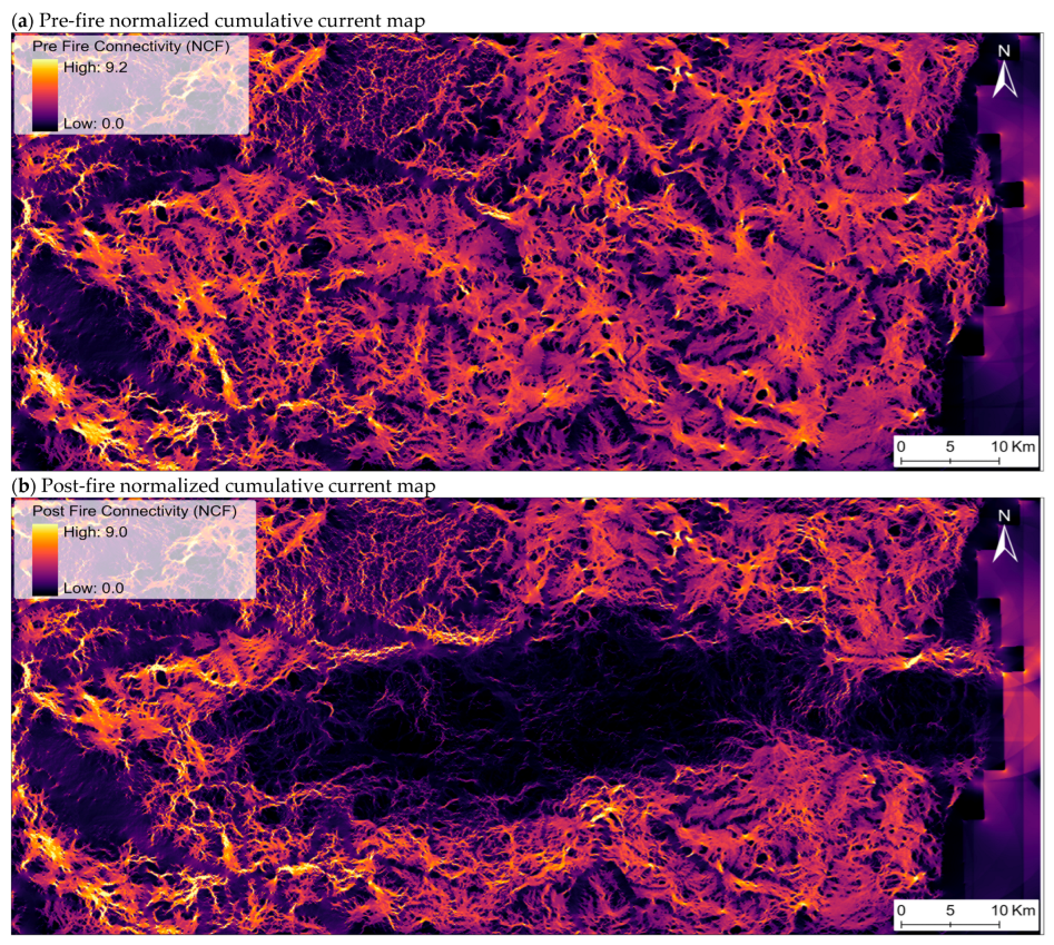 Land 14 02444 g004