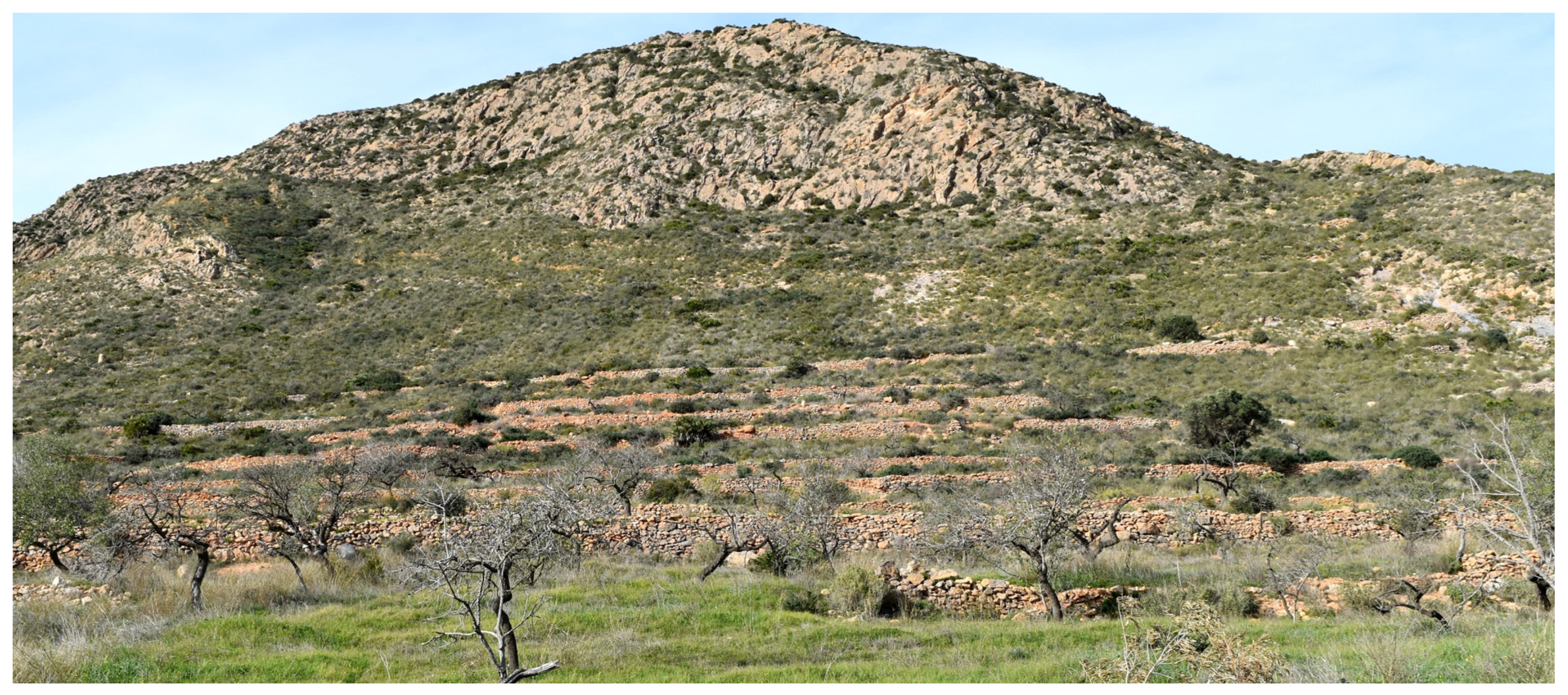 Land 15 00098 g006 Land 15 00098 g006