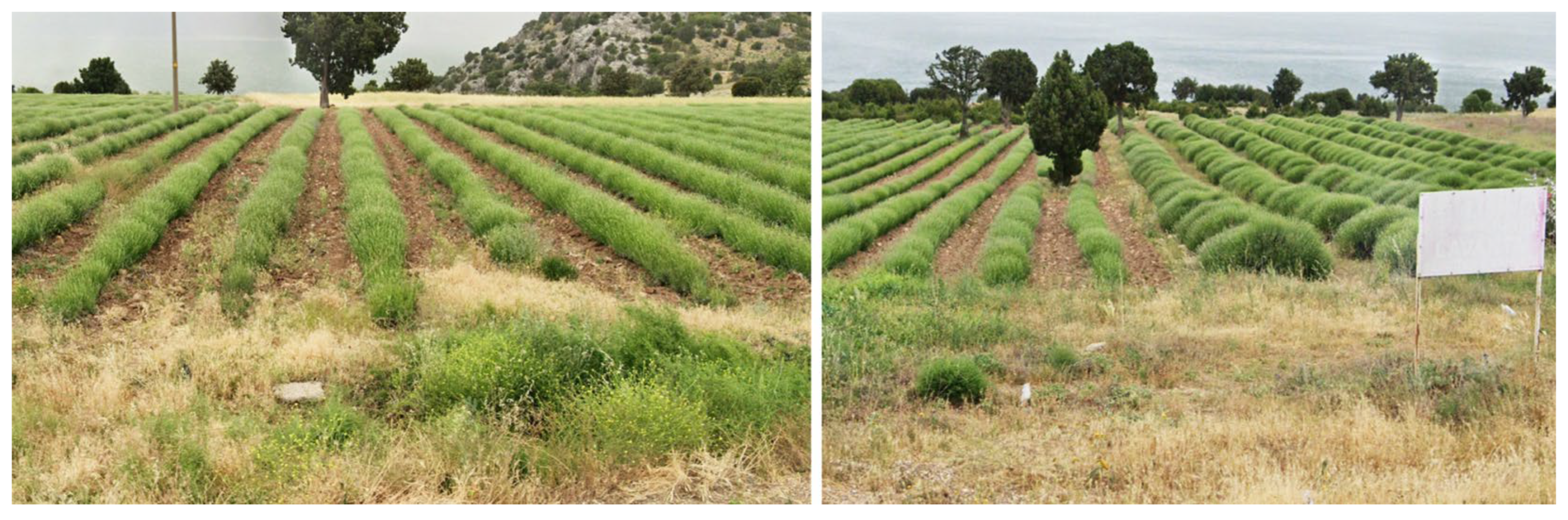 Land 15 00130 g007 Land 15 00130 g007