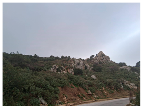 Land 15 00327 i003