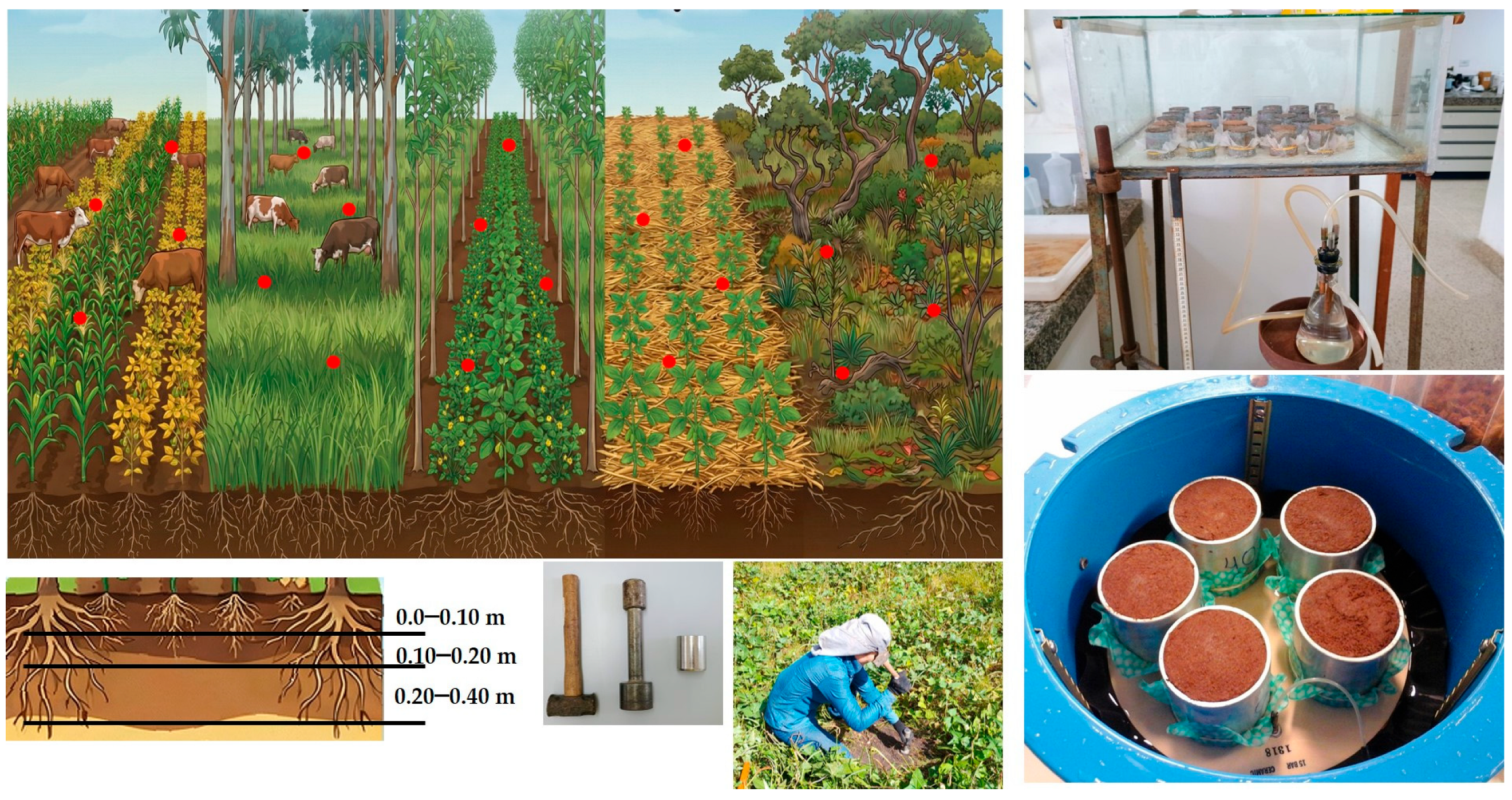Land 15 00360 g002 Land 15 00360 g002