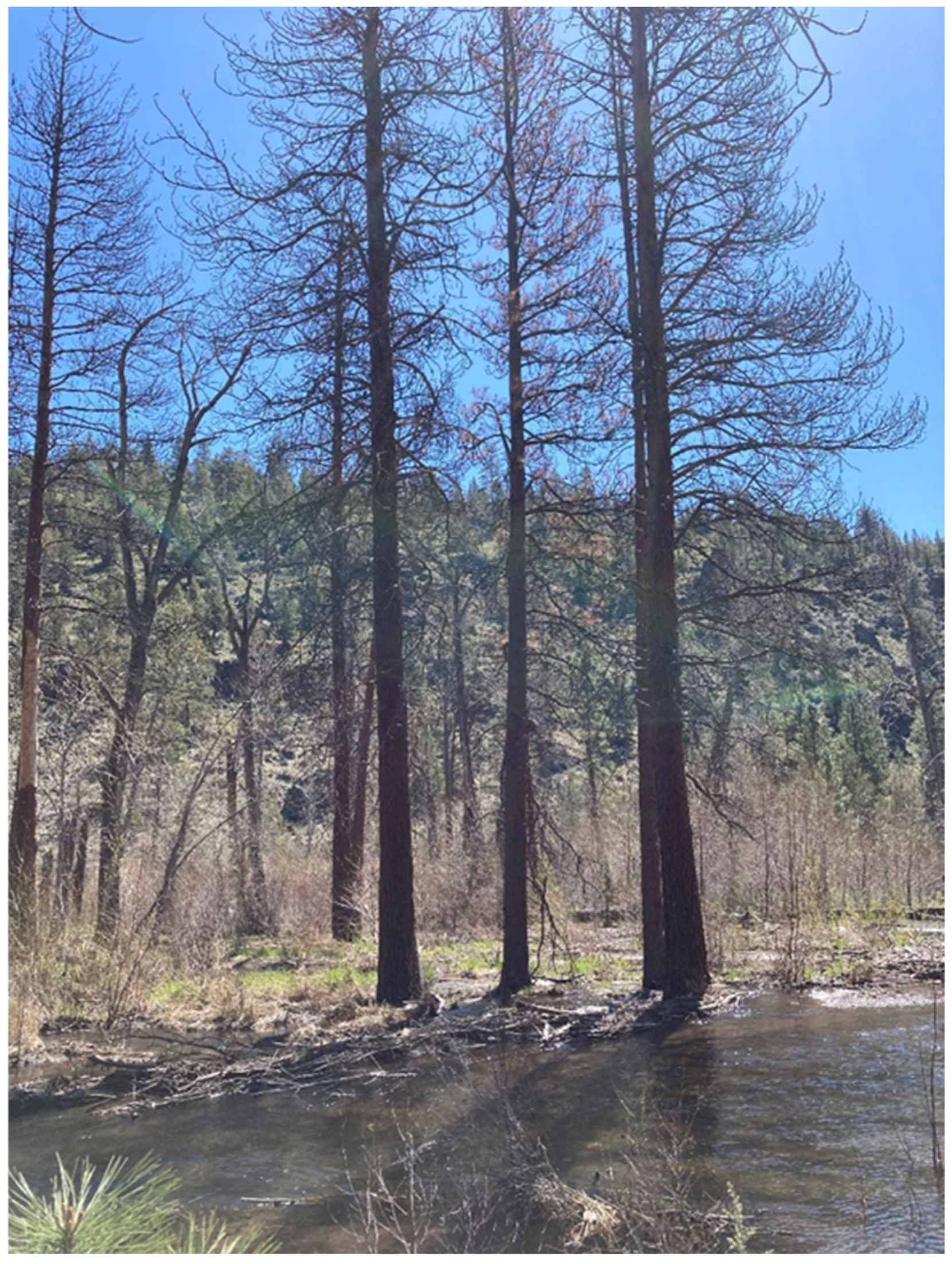 Land 15 00500 g005 Land 15 00500 g005