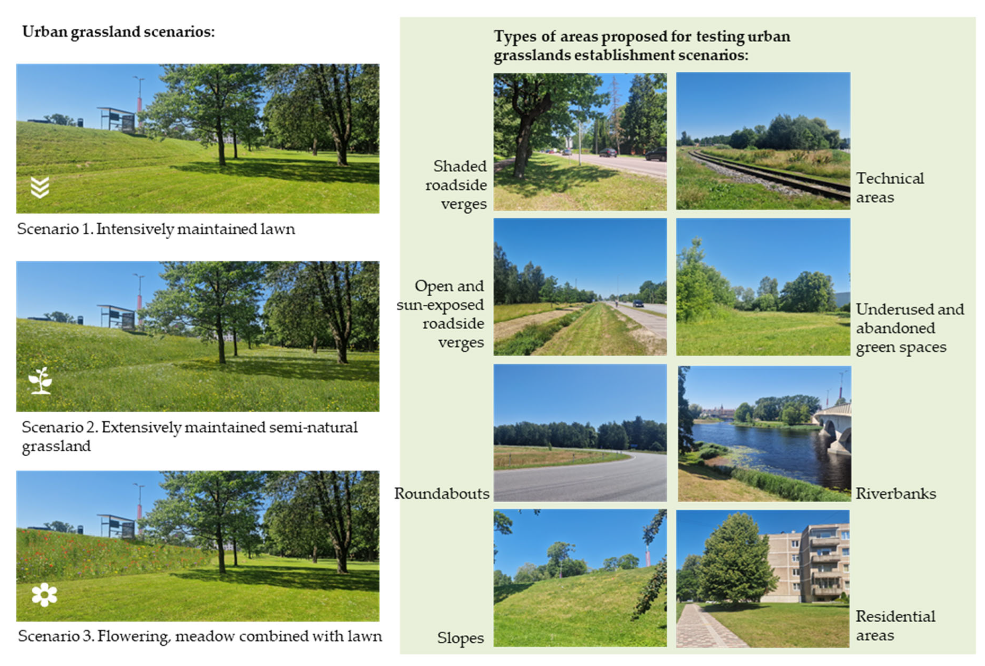 Land 15 00505 g003 Land 15 00505 g003