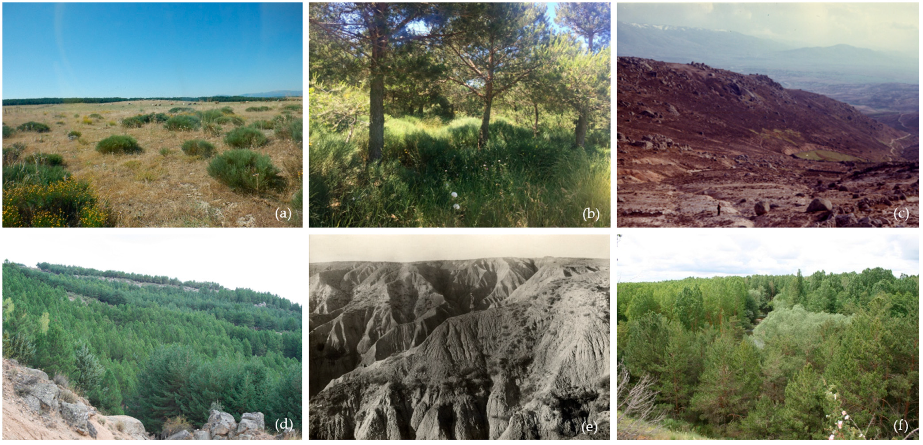 Land 15 00625 g005 Land 15 00625 g005