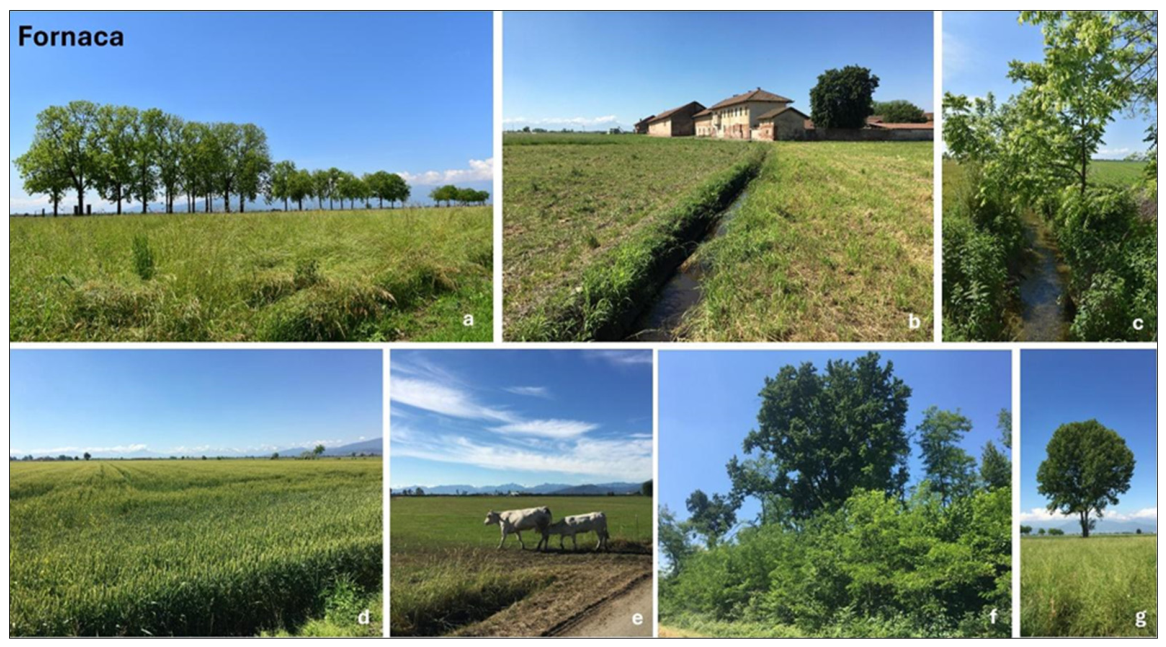 Land 15 00801 g004
