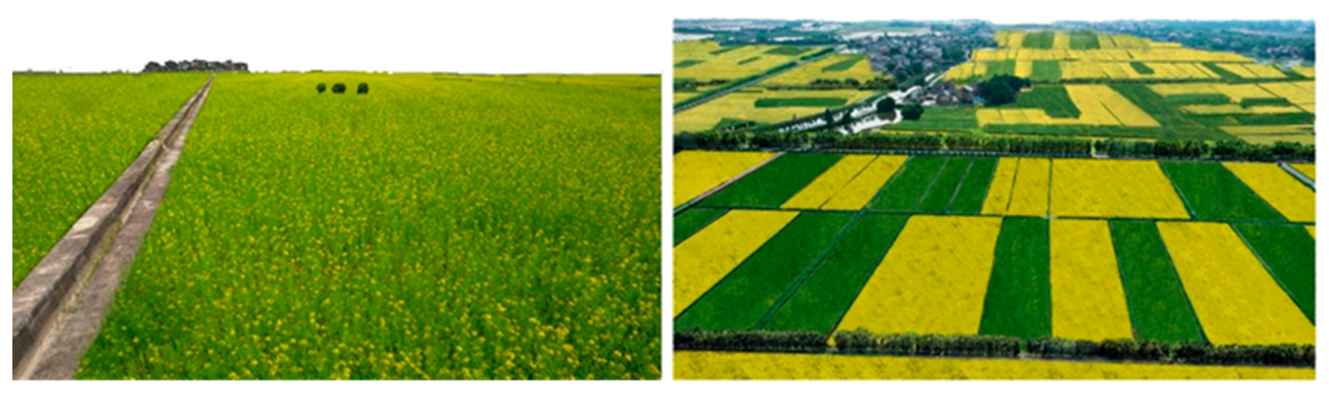 Land 15 01103 g003 Land 15 01103 g003
