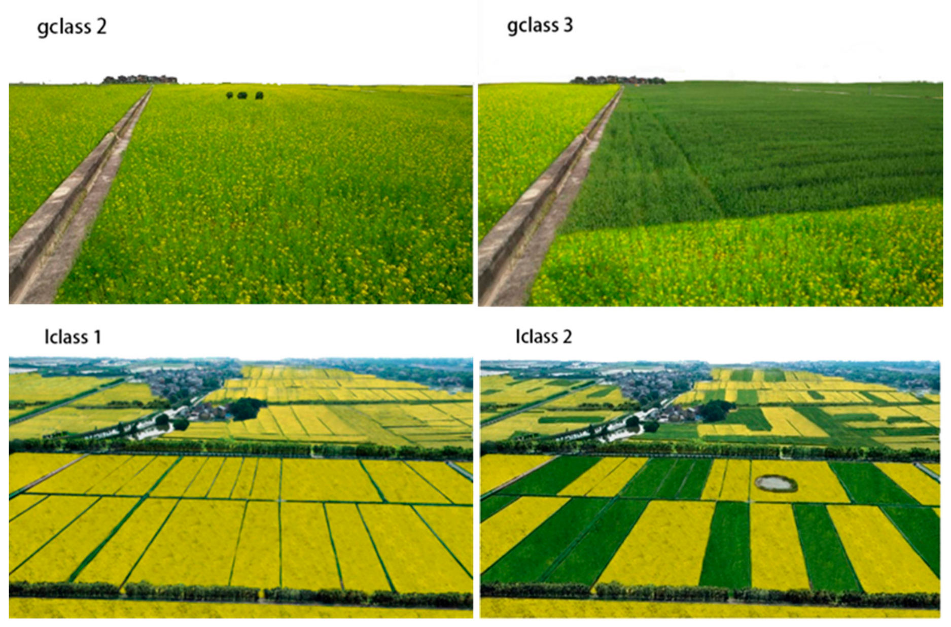 Land 15 01103 g004 Land 15 01103 g004