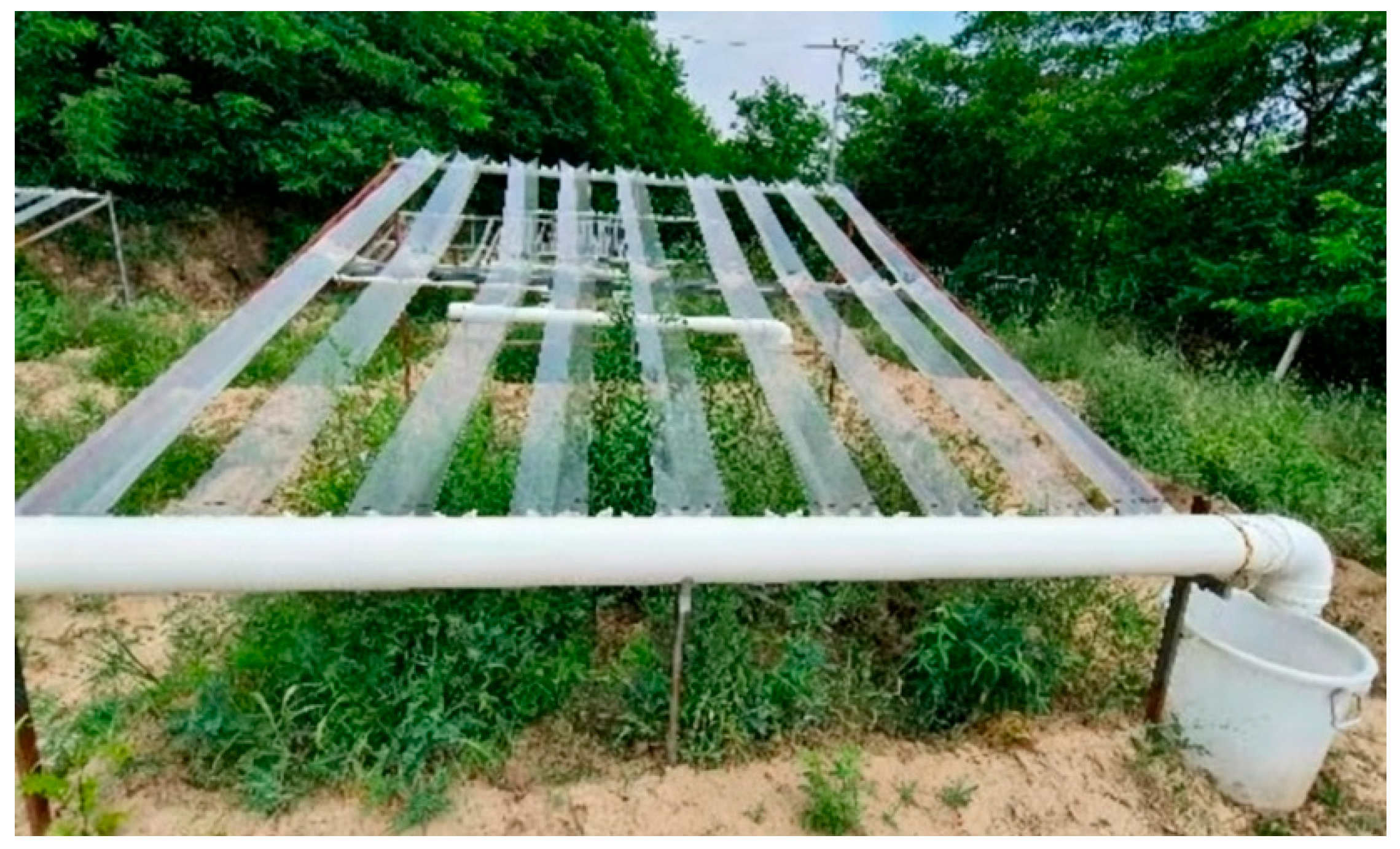 Land 15 01104 g002