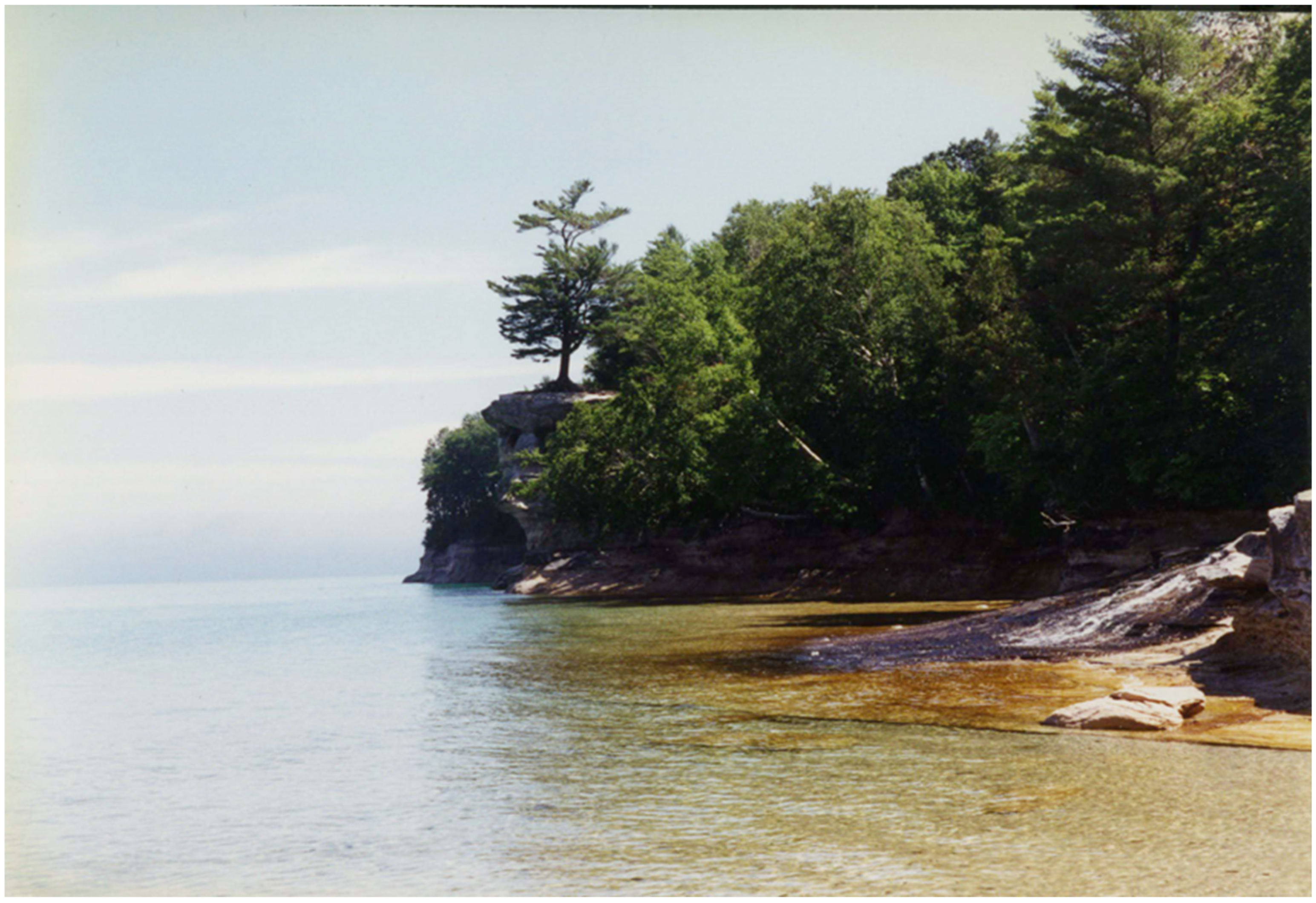 Land 15 01123 g002