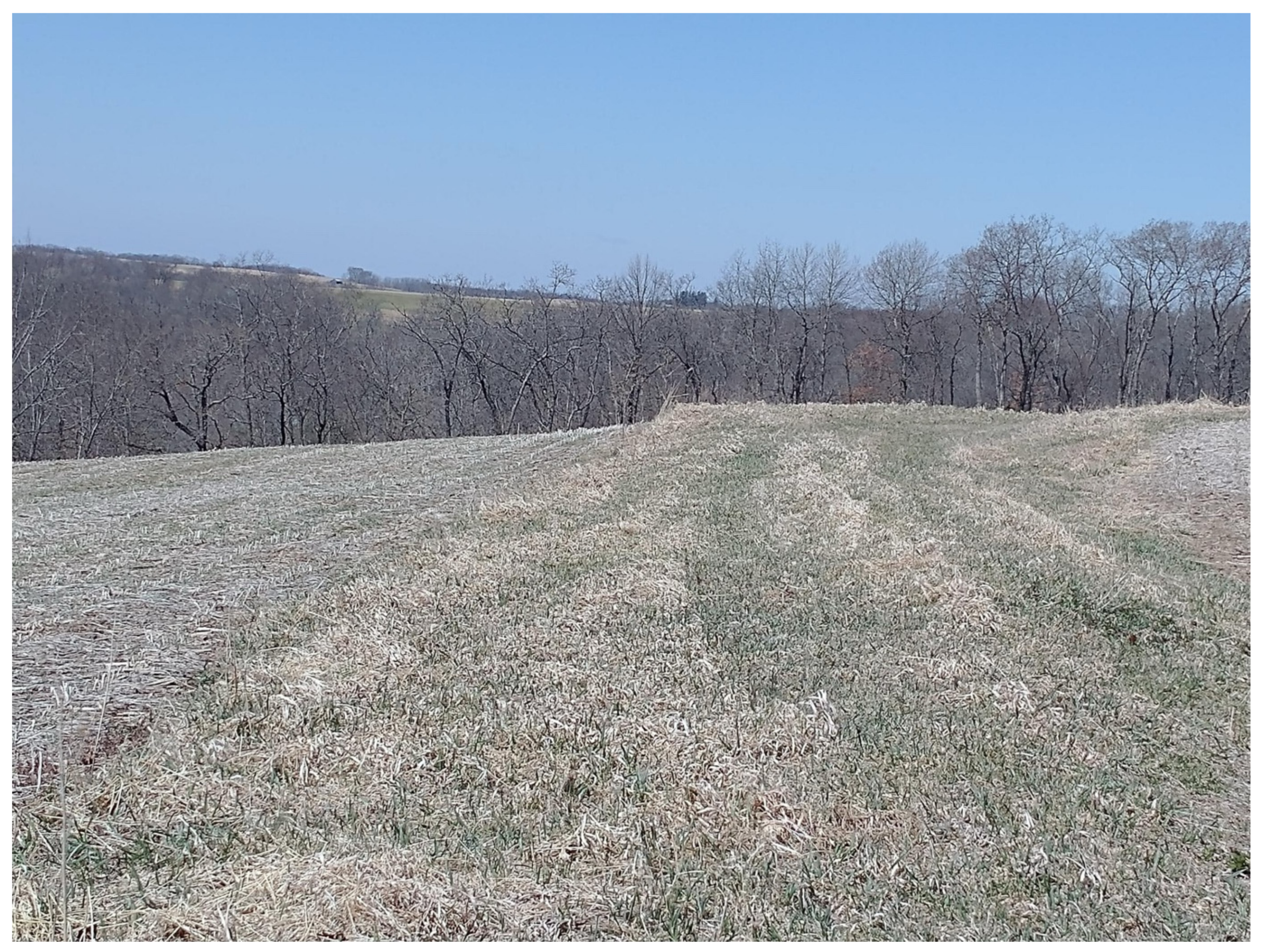 Land 15 01404 g006