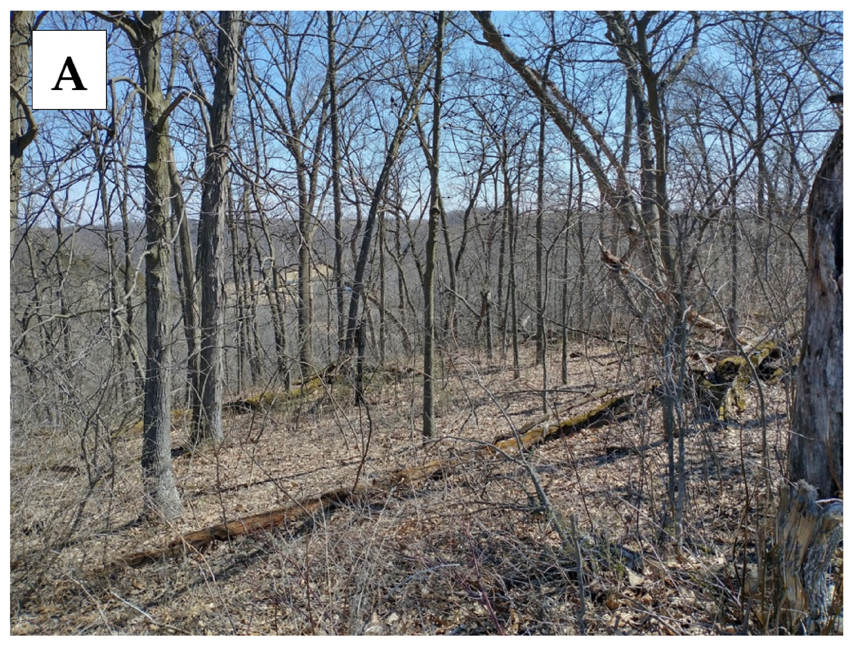 Land 15 01404 g007a