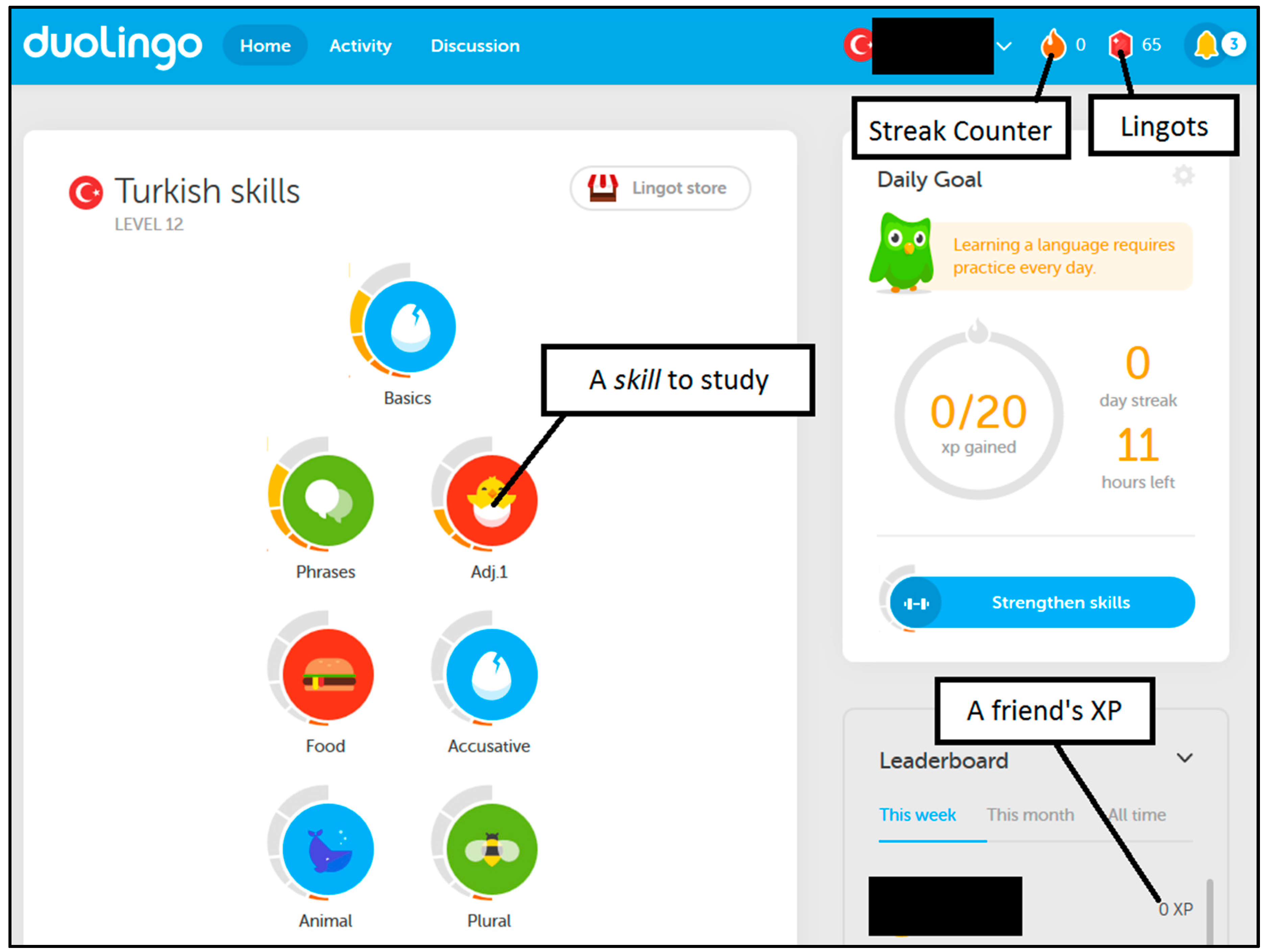 Duolingo Старая версия