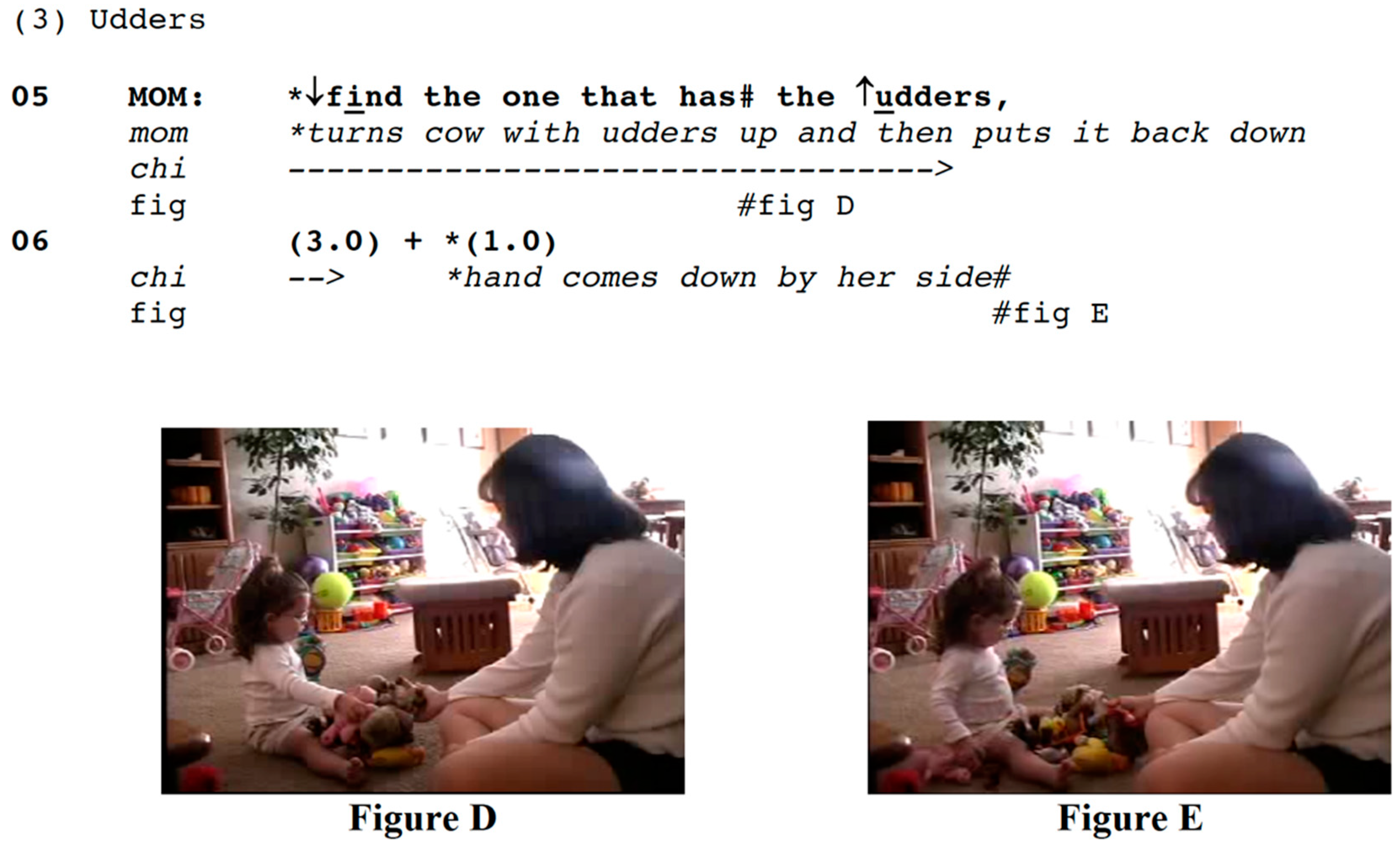 Languages 04 00002 i003 Languages 04 00002 i003