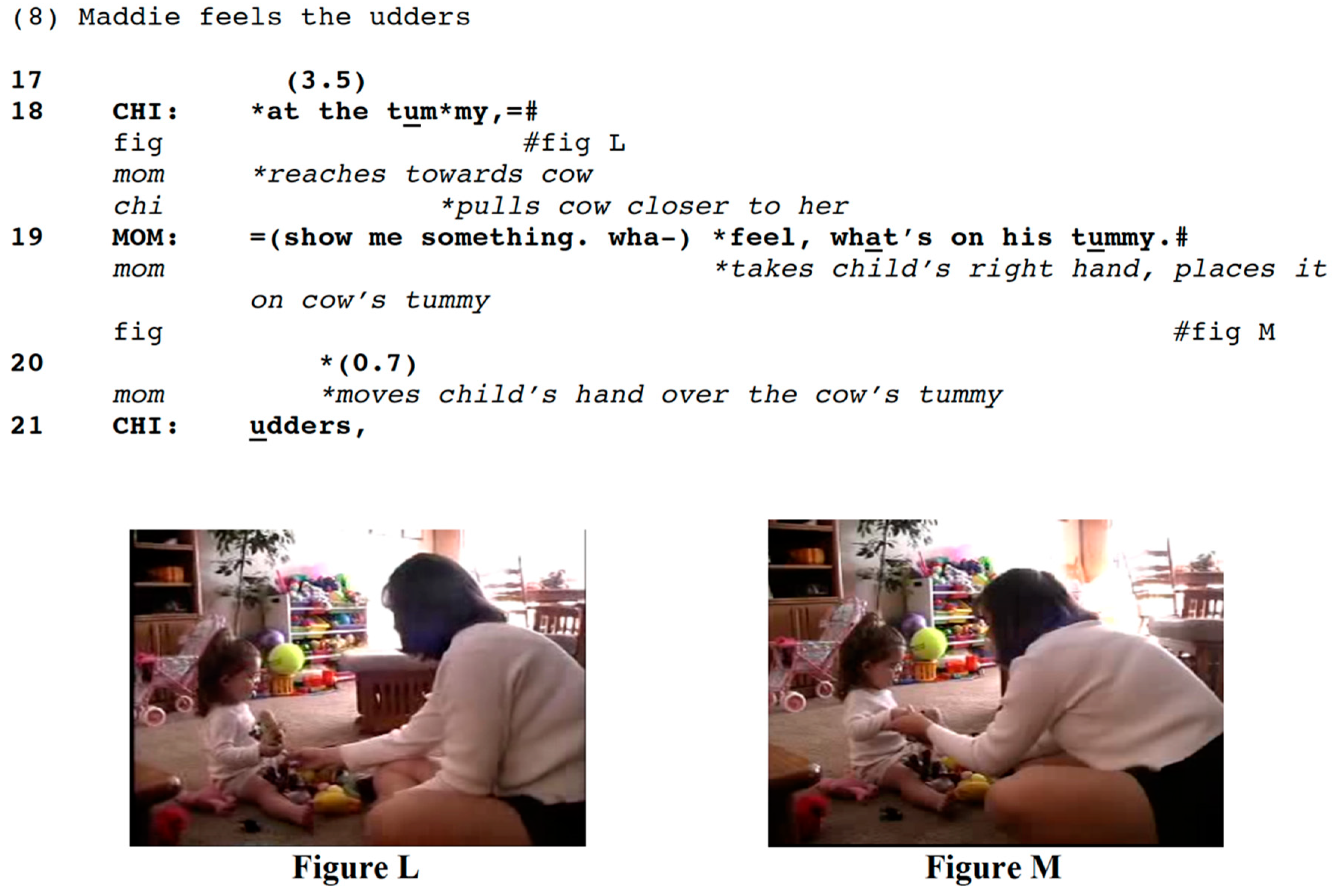 Languages 04 00002 i008 Languages 04 00002 i008