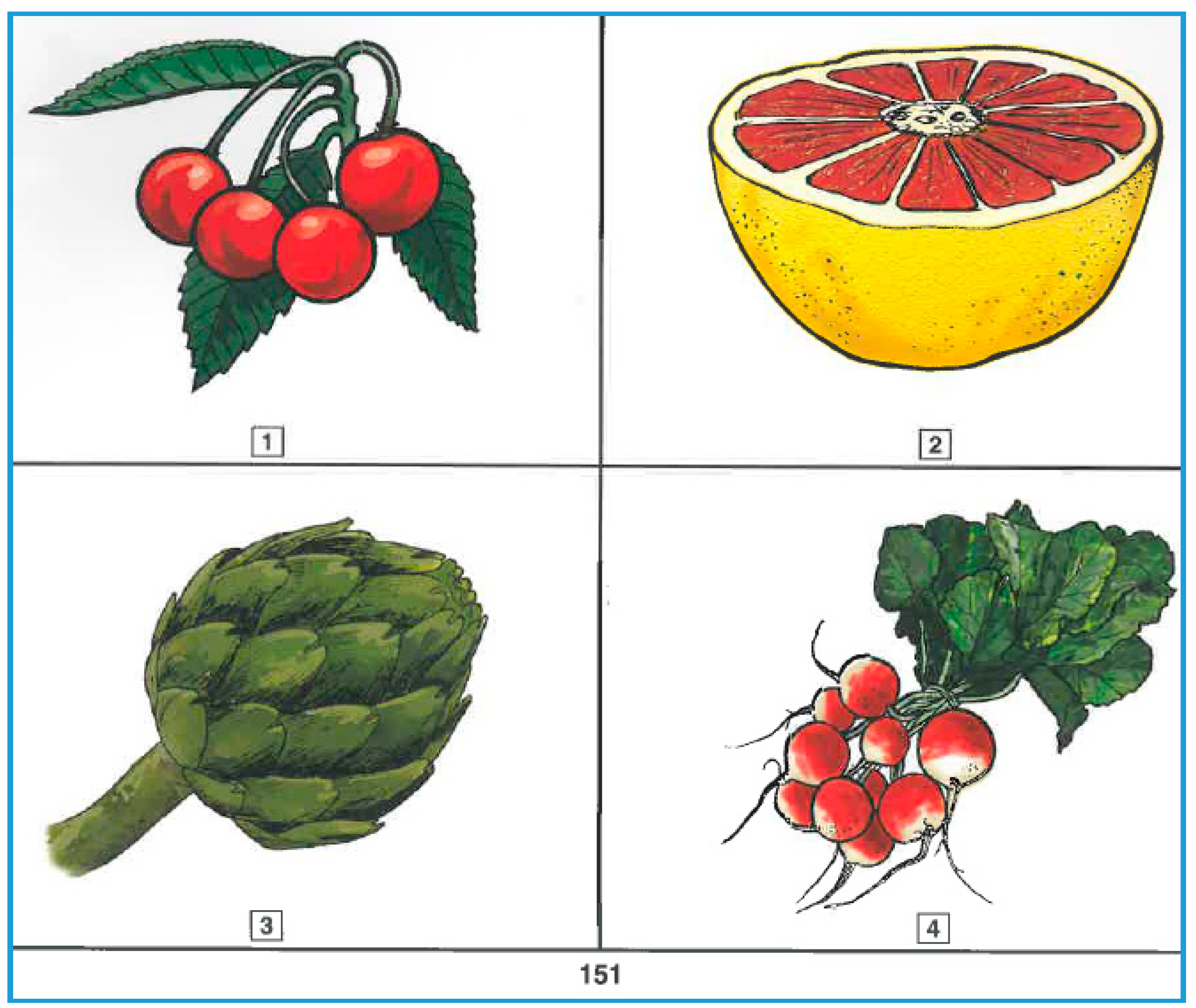 Languages 04 00027 g001 550