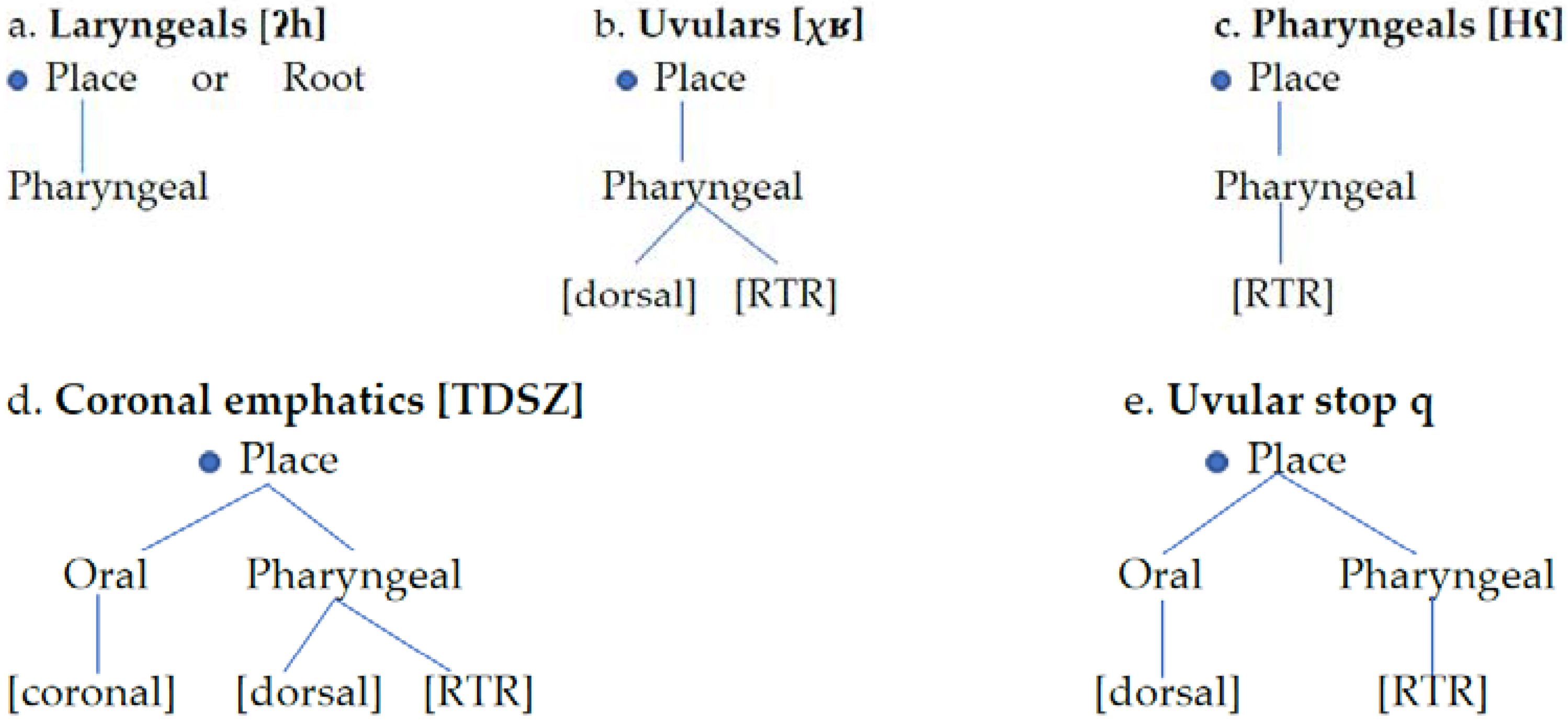 Languages 04 00079 g006