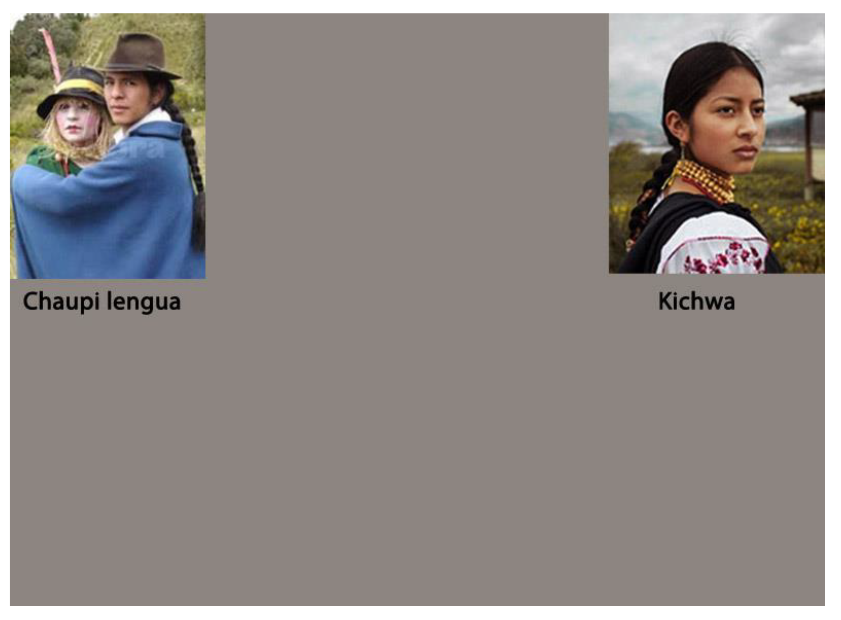 Languages 05 00011 g0a1