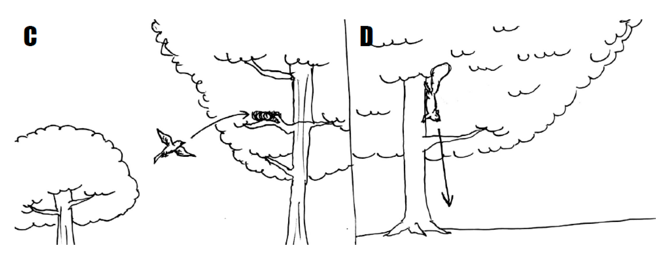 Languages 05 00030 g008 Languages 05 00030 g008