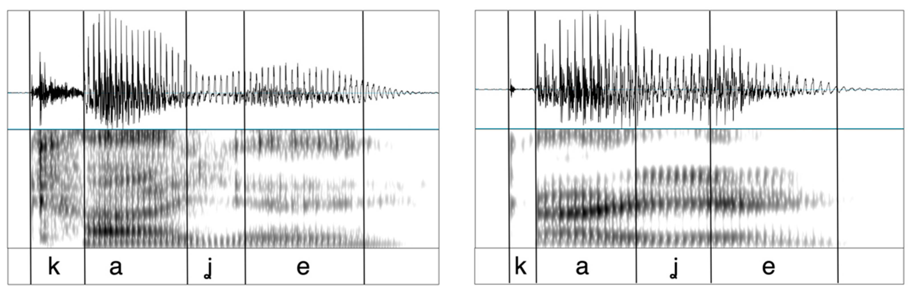 Languages 05 00043 g002 Languages 05 00043 g002
