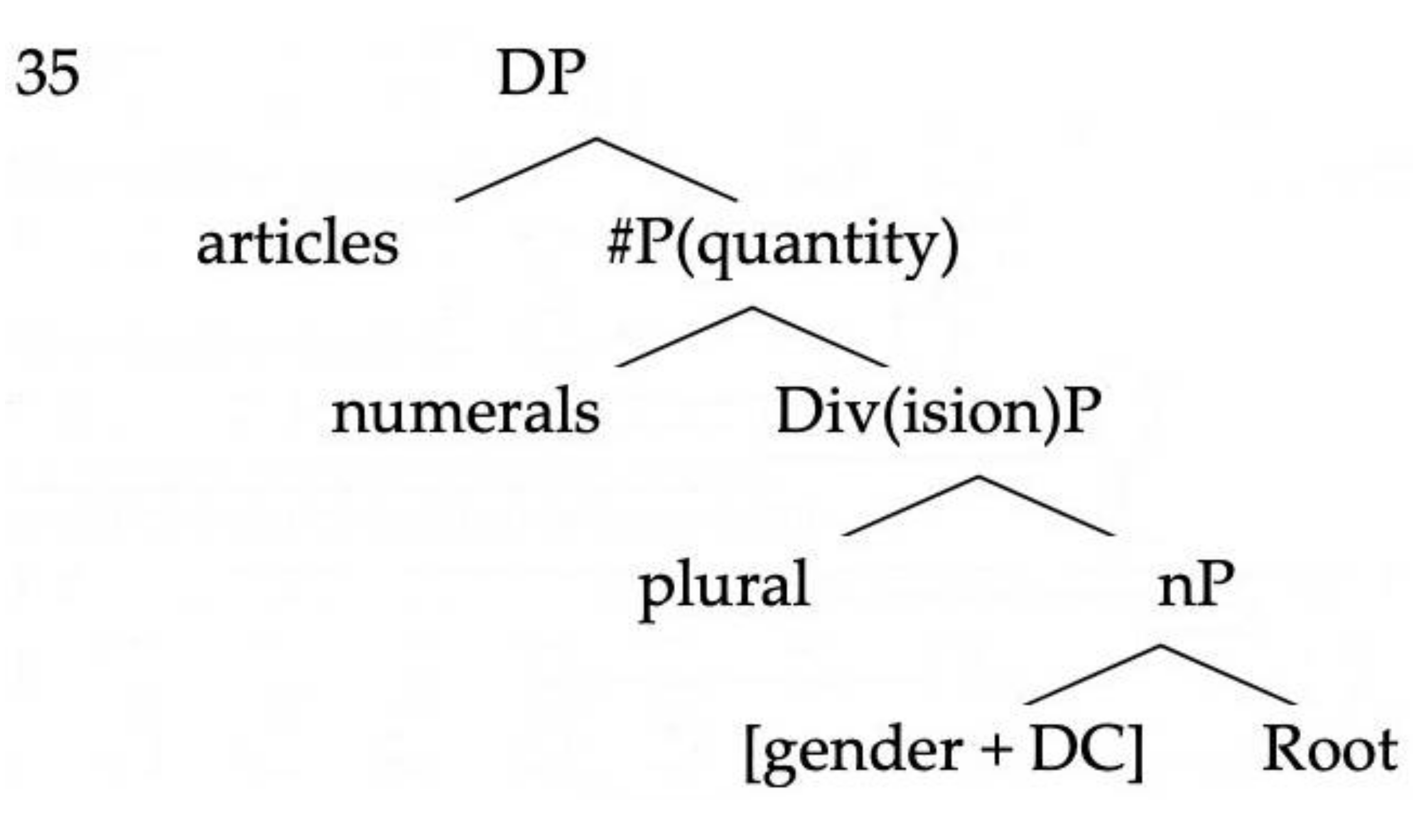 Languages 06 00003 i002