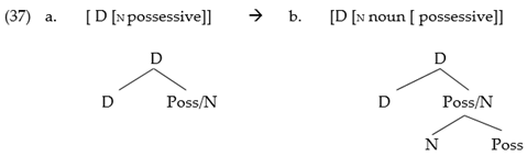 Languages 06 00063 i008