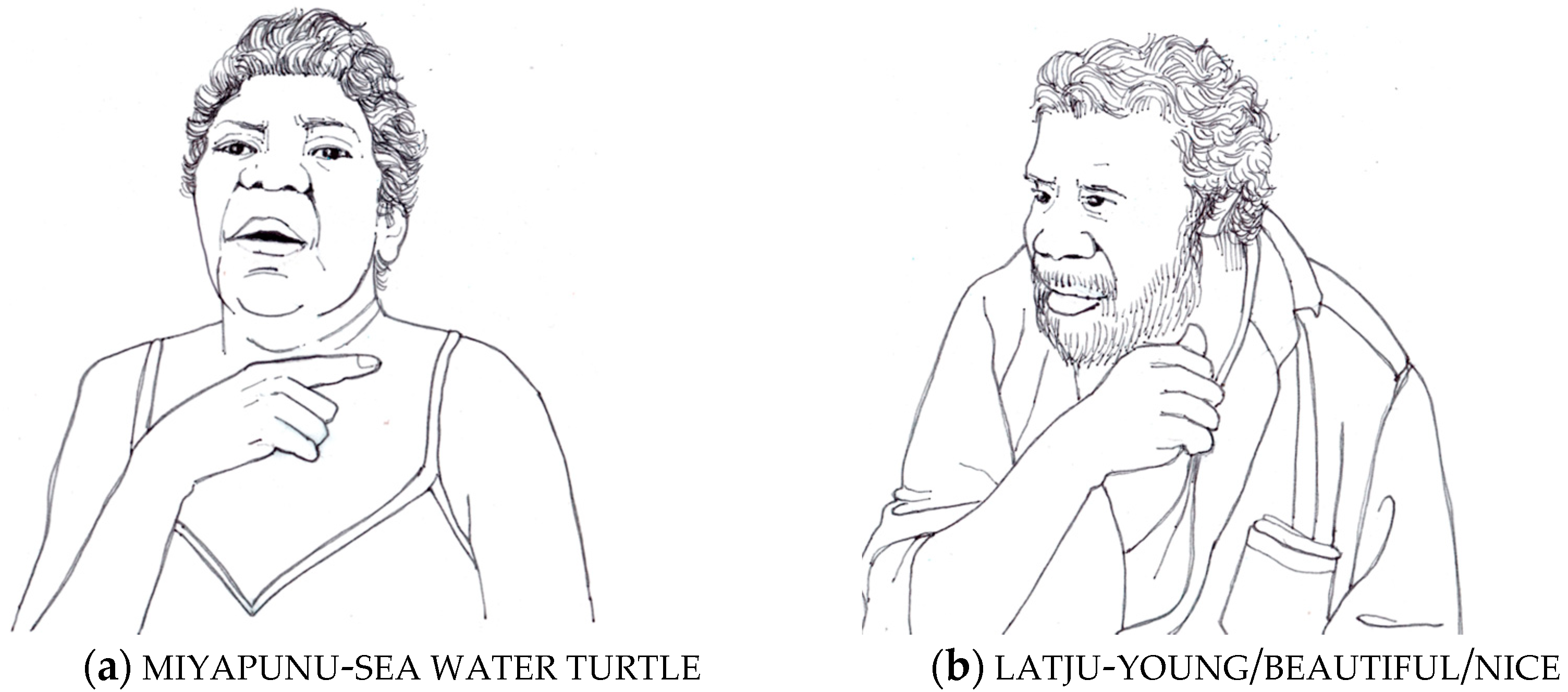 Languages 06 00081 g005 Languages 06 00081 g005