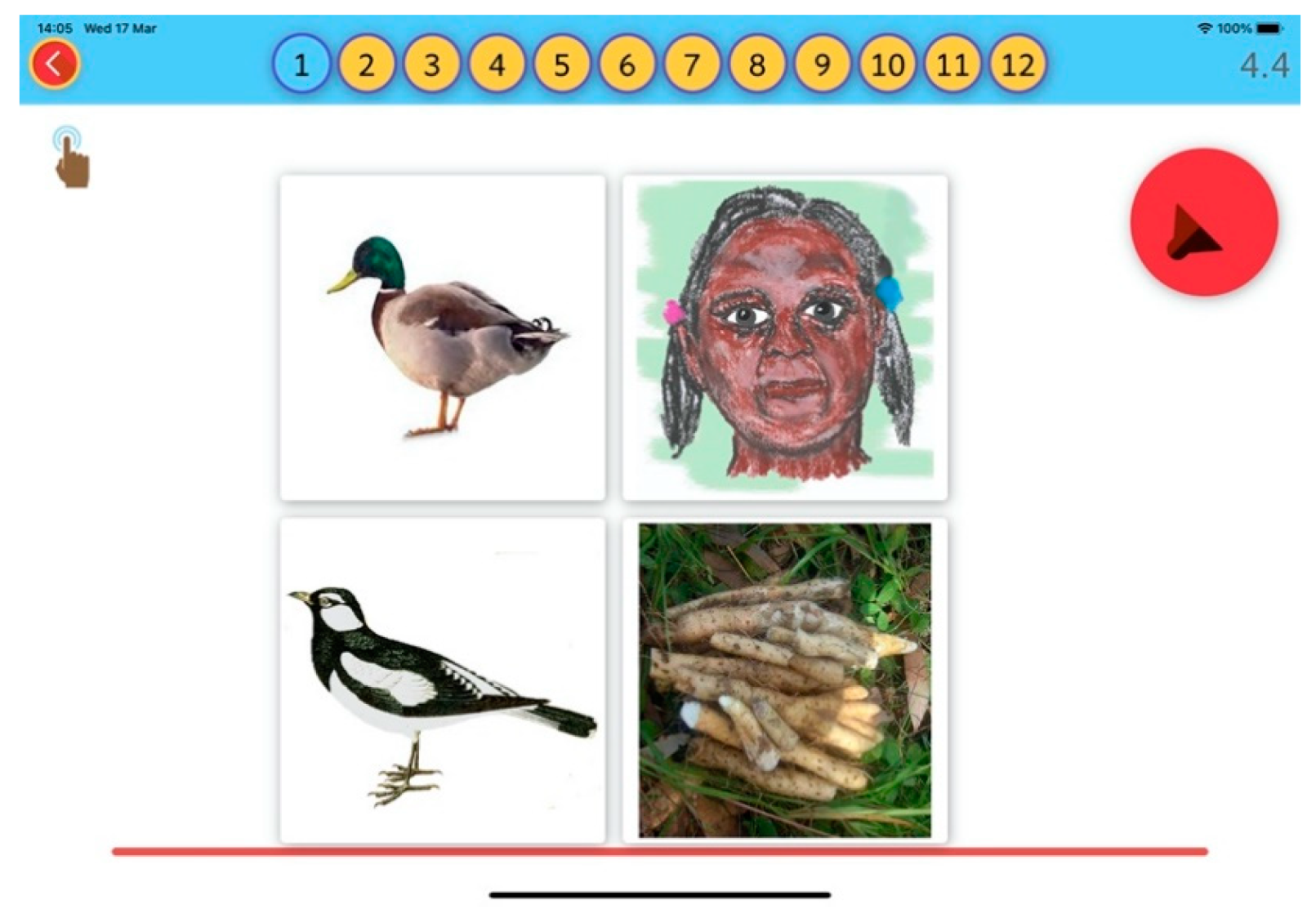 Languages 06 00106 g003