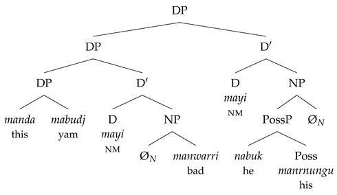 Languages 06 00111 i001
