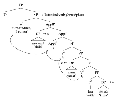 Languages 06 00125 i005