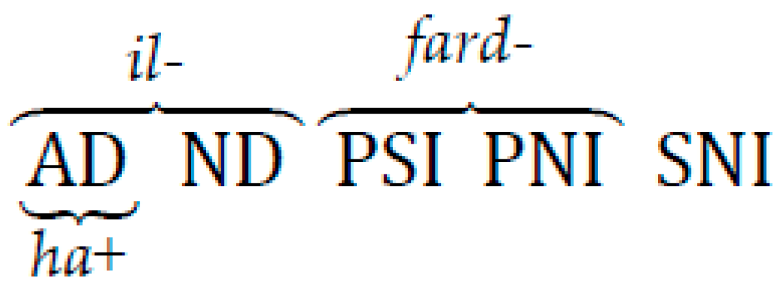 Languages 06 00128 g011