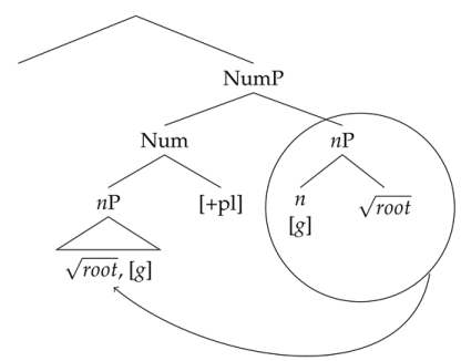 Languages 06 00142 i005