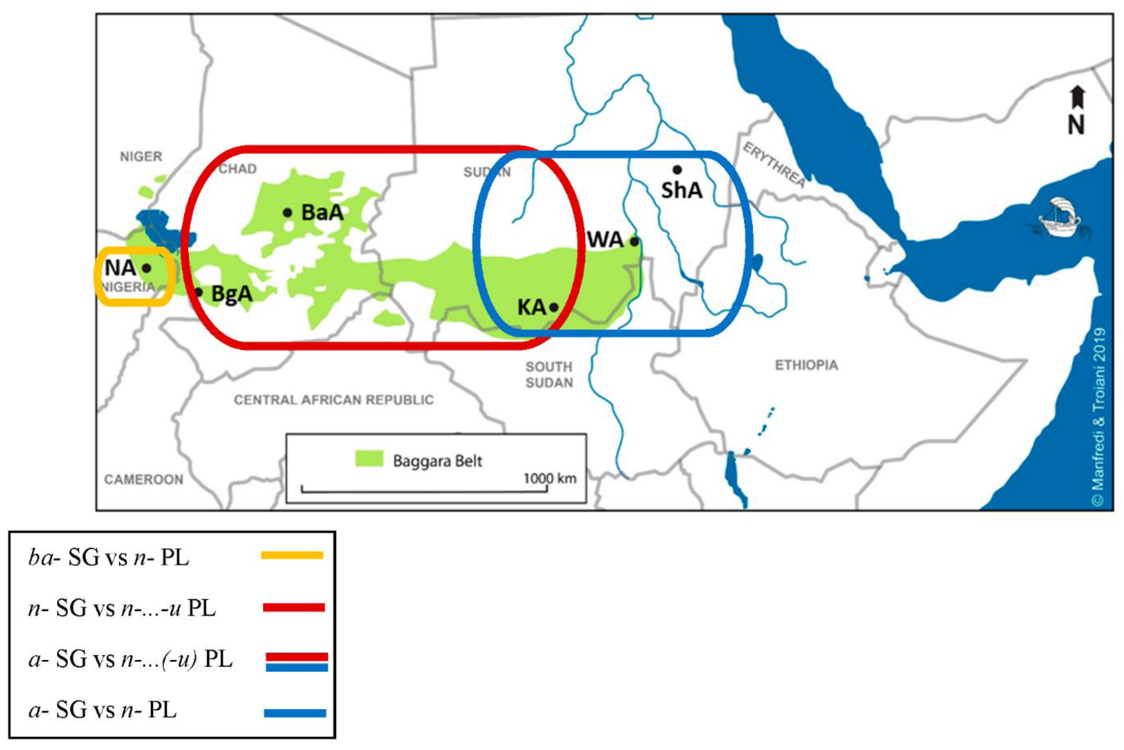 Languages 06 00146 g006