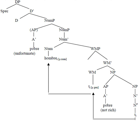 Languages 06 00153 i001