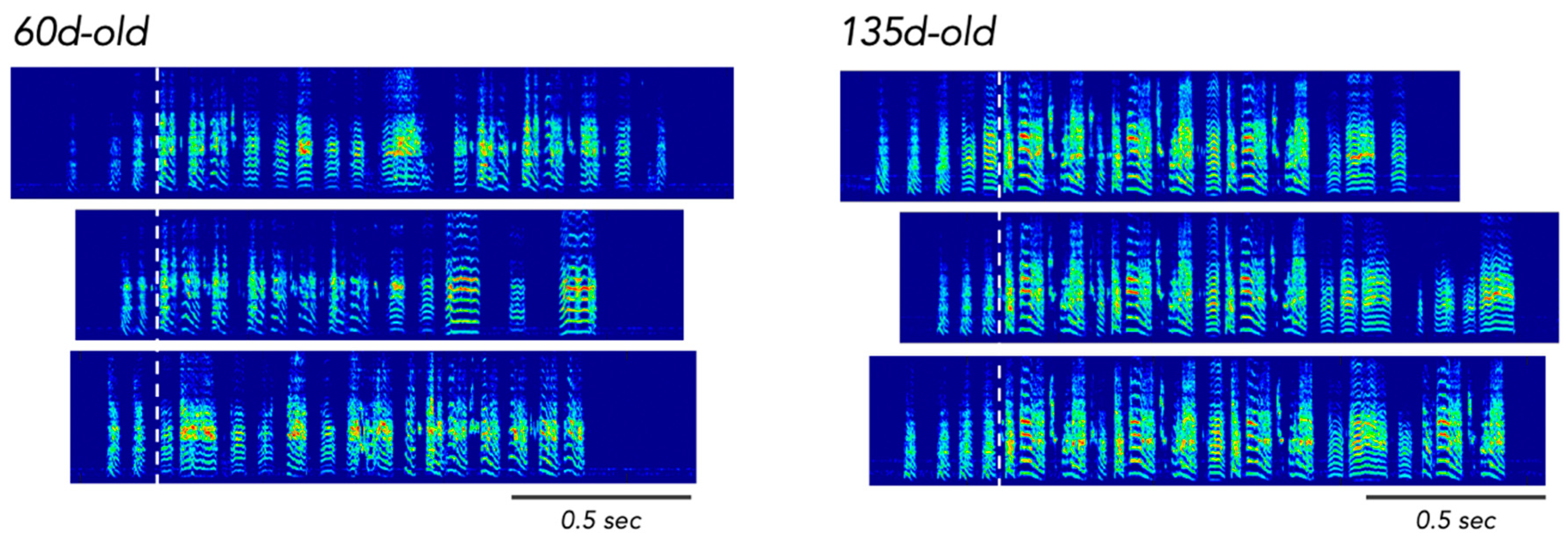 Languages 07 00005 g004