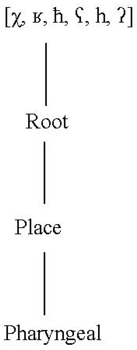 Languages 07 00028 g013