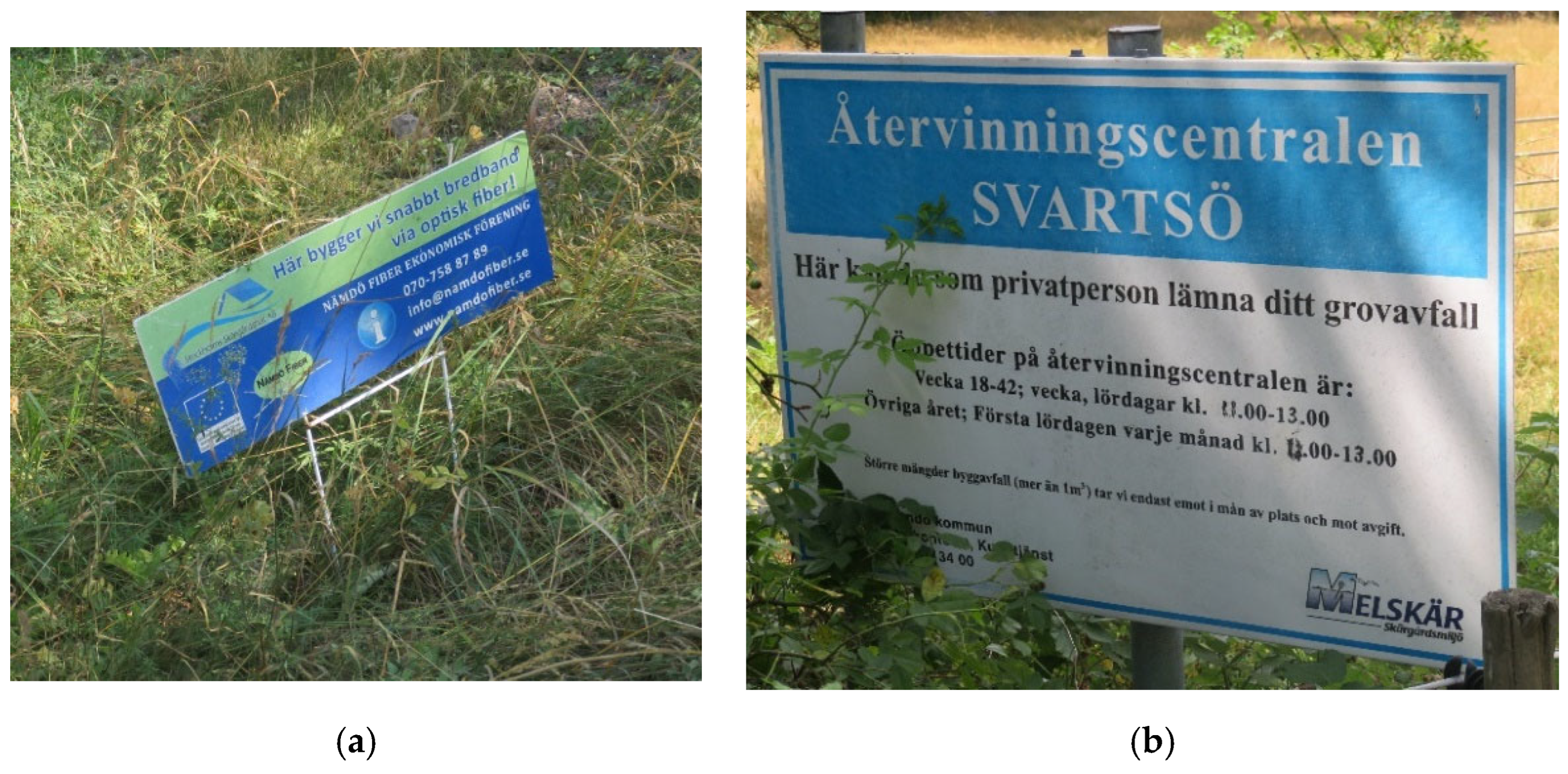 Languages 07 00037 g004