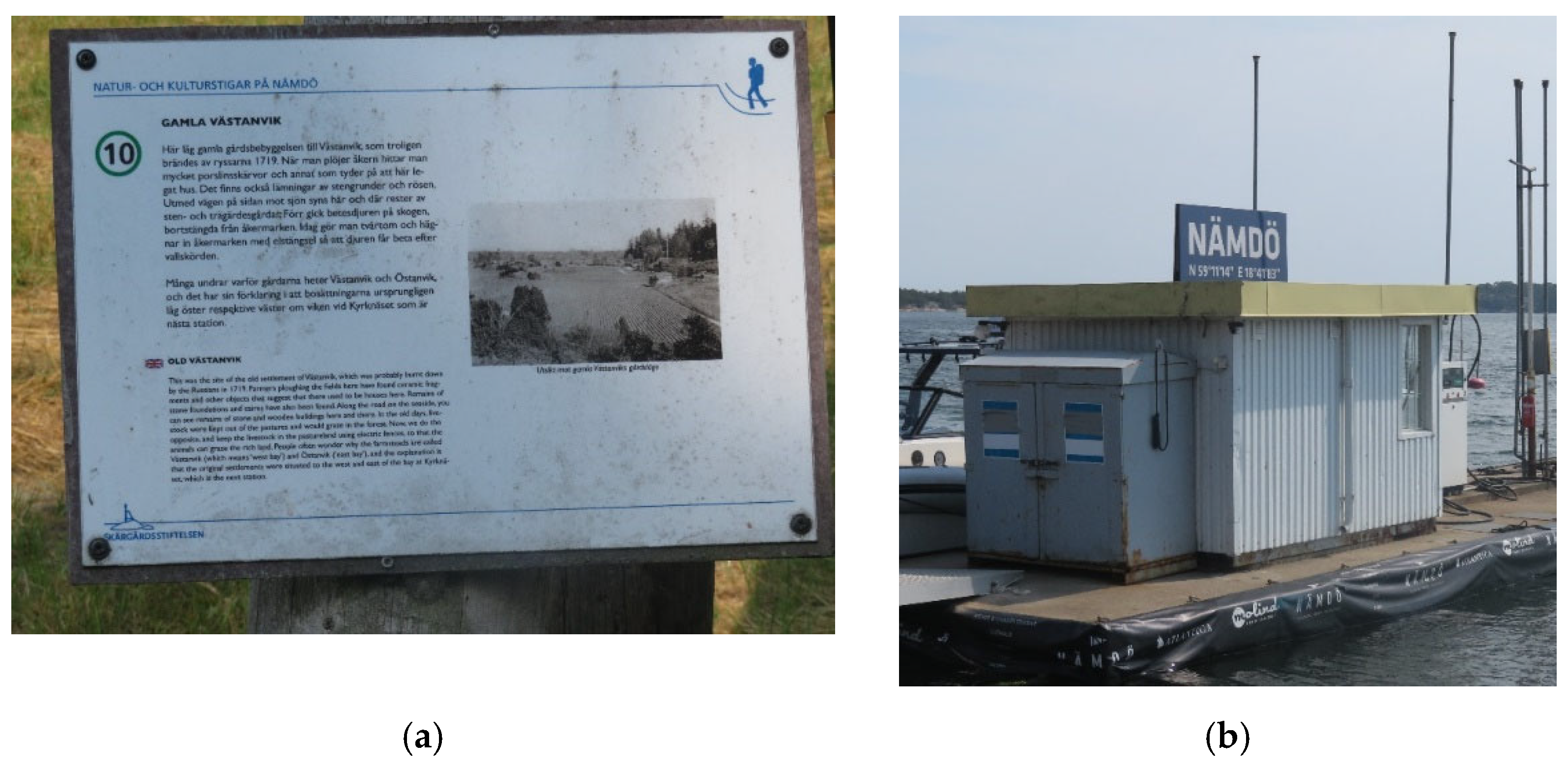 Languages 07 00037 g006