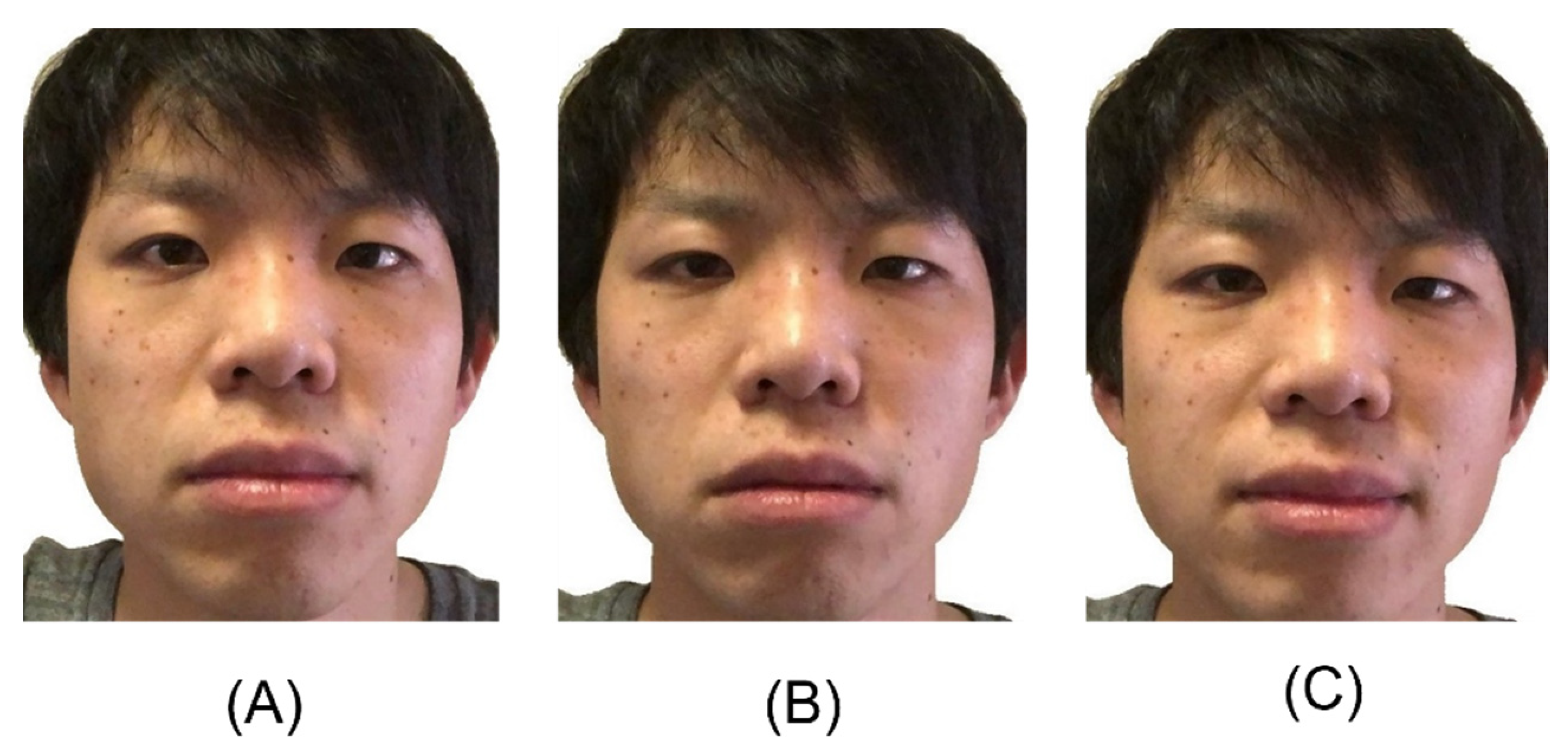 Languages 07 00088 g001