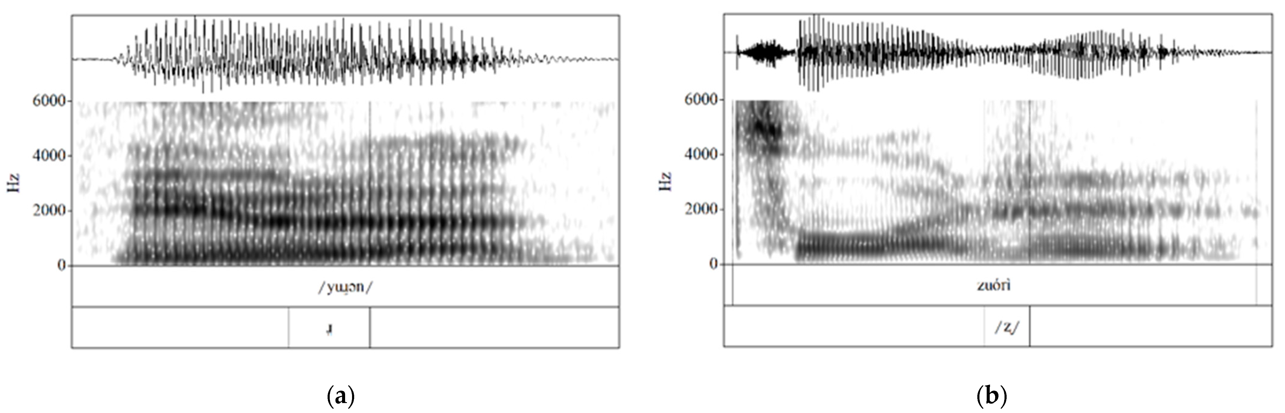 Languages Free Full-Text The Role of Task Complexity and Dominant Articulatory Routines in the Acquisition of L3 Spanish photo