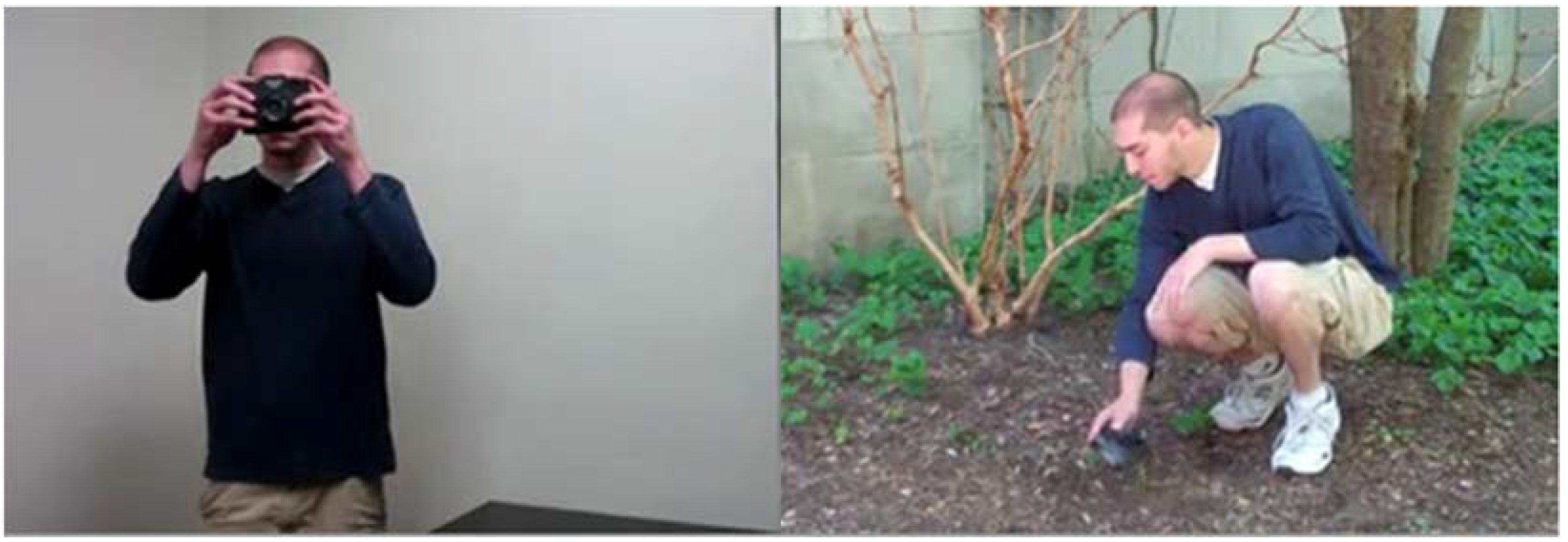 Languages 07 00095 g001 Languages 07 00095 g001