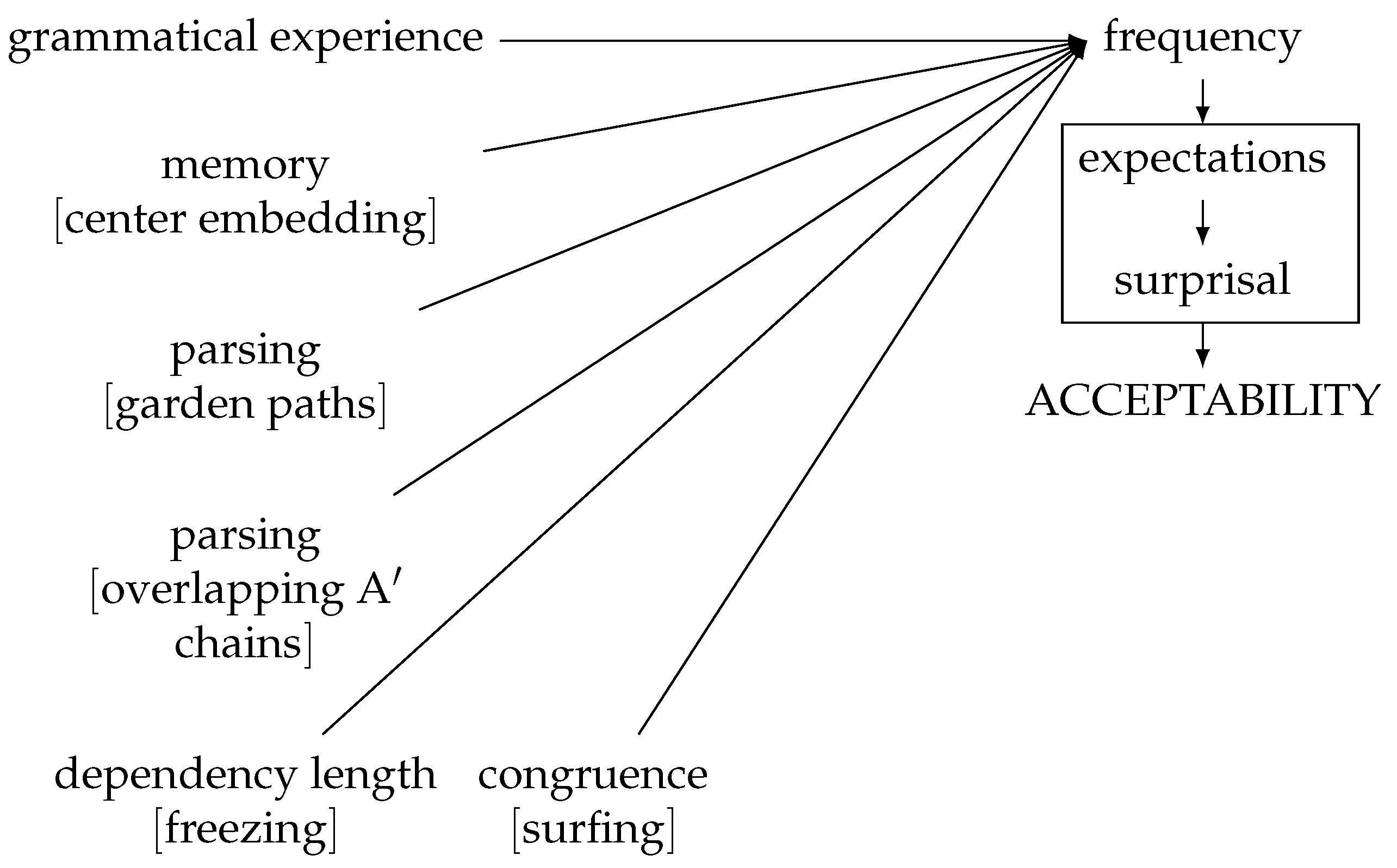 Languages 07 00096 g005