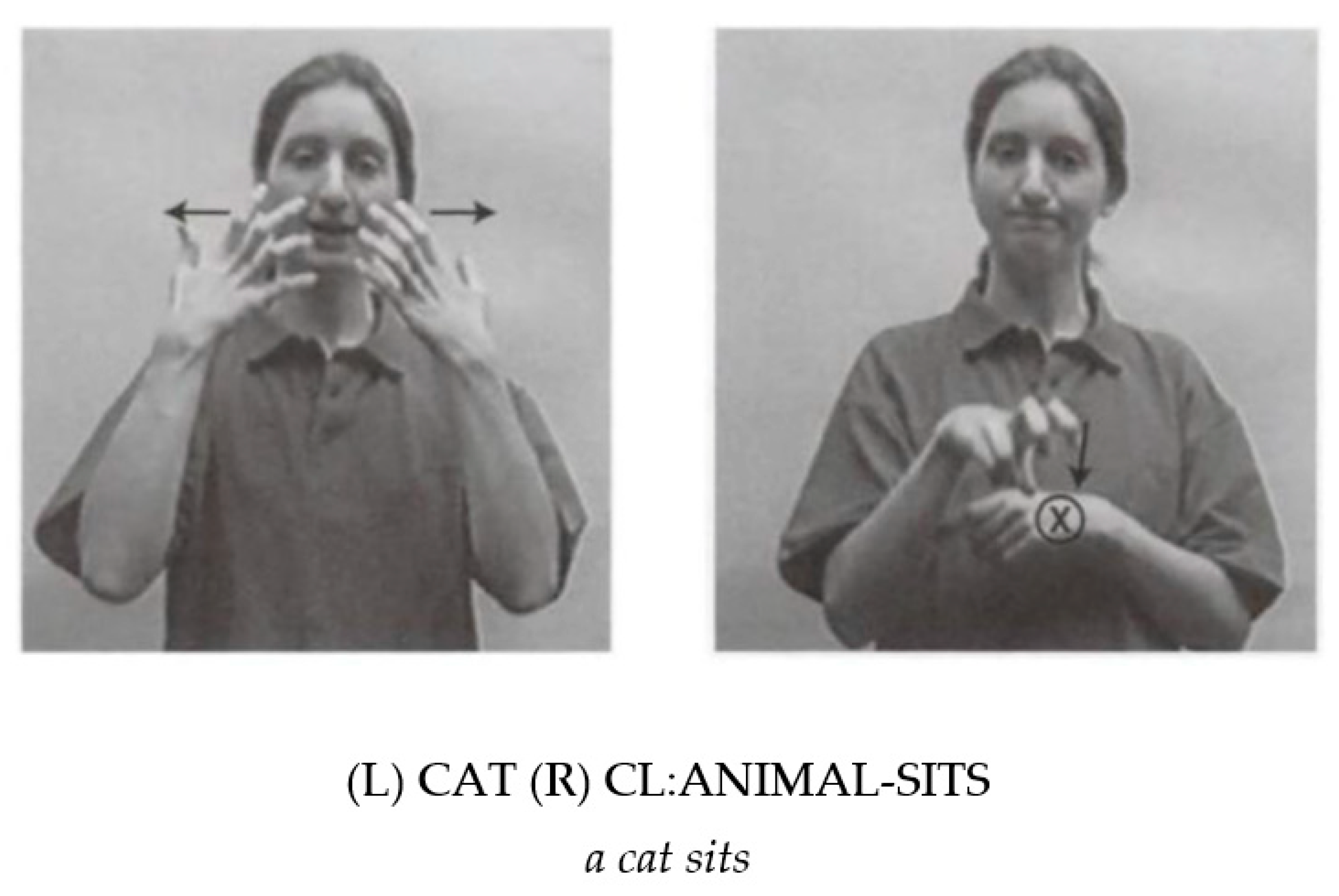 Languages 07 00098 g001